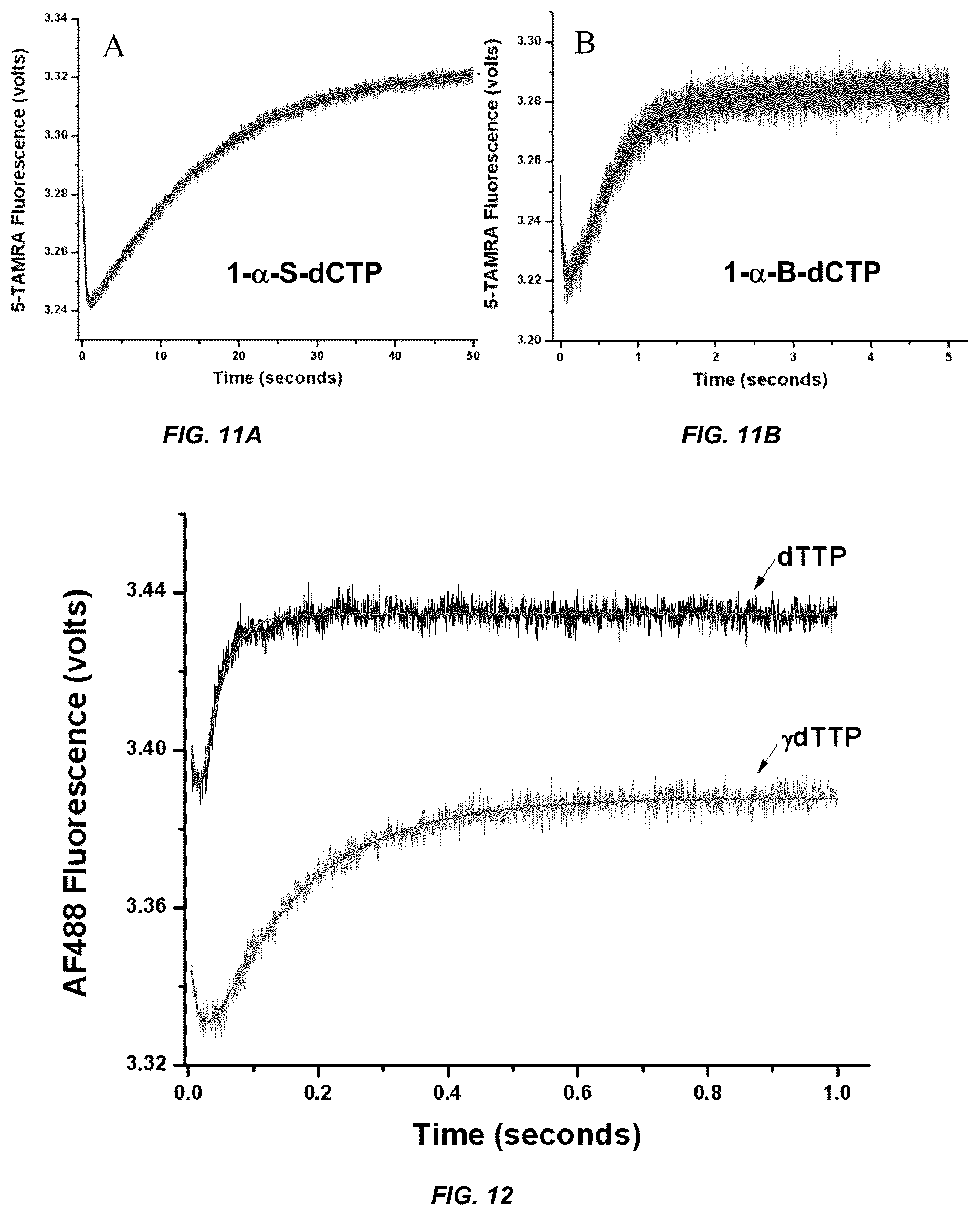 Patent US12297498 Figure 12 – Conformational probes and methods for sequencing nucleic acids