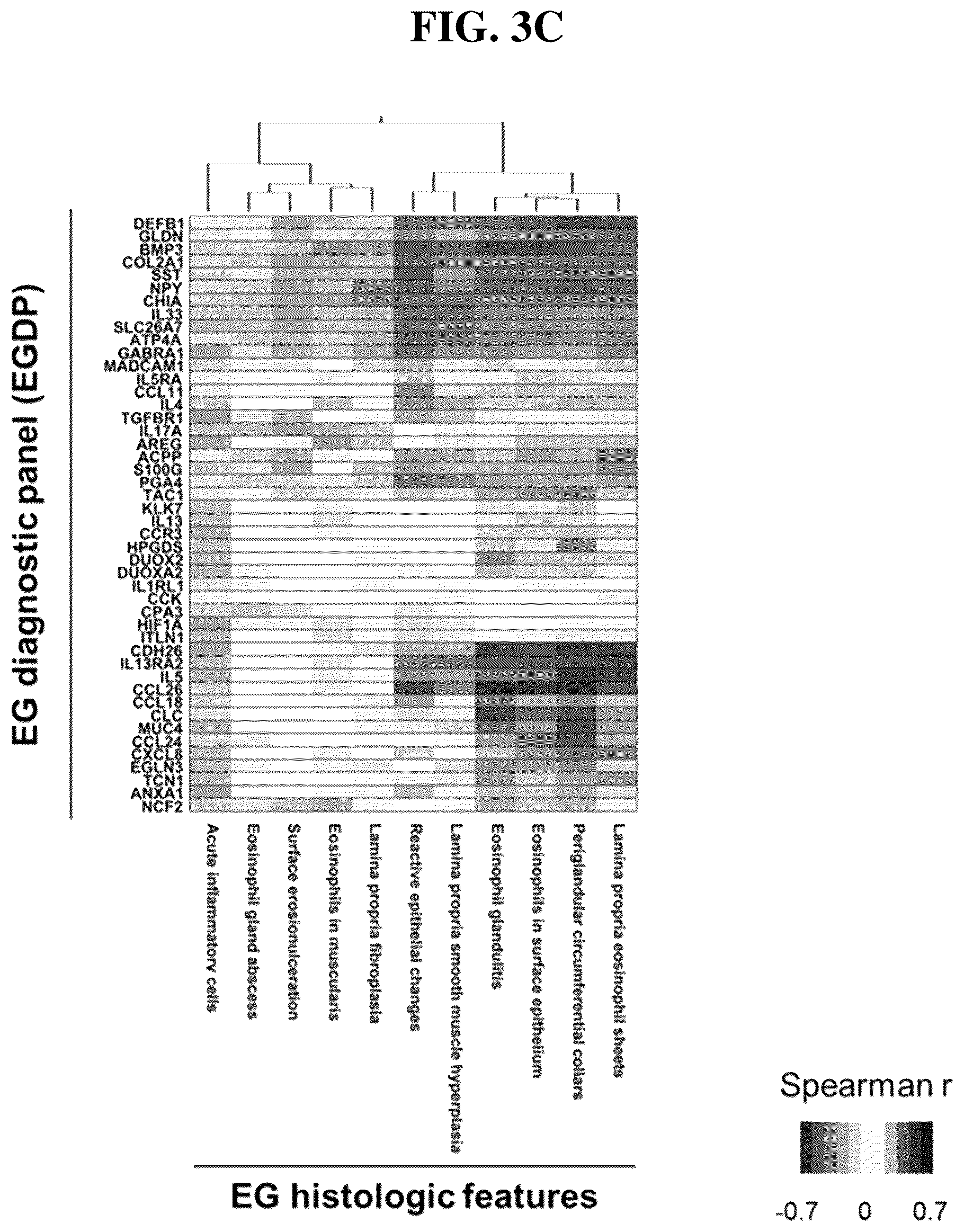 Patent US12297501 Figure 8 – Methods for diagnosing and treating eosinophilic gastritis