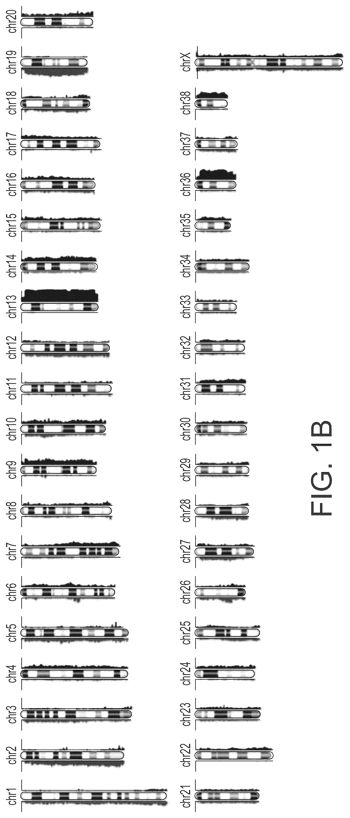 Patent US12297504 Figure 2 – Chromosomal assessment to diagnose urogenital malignancy in dogs