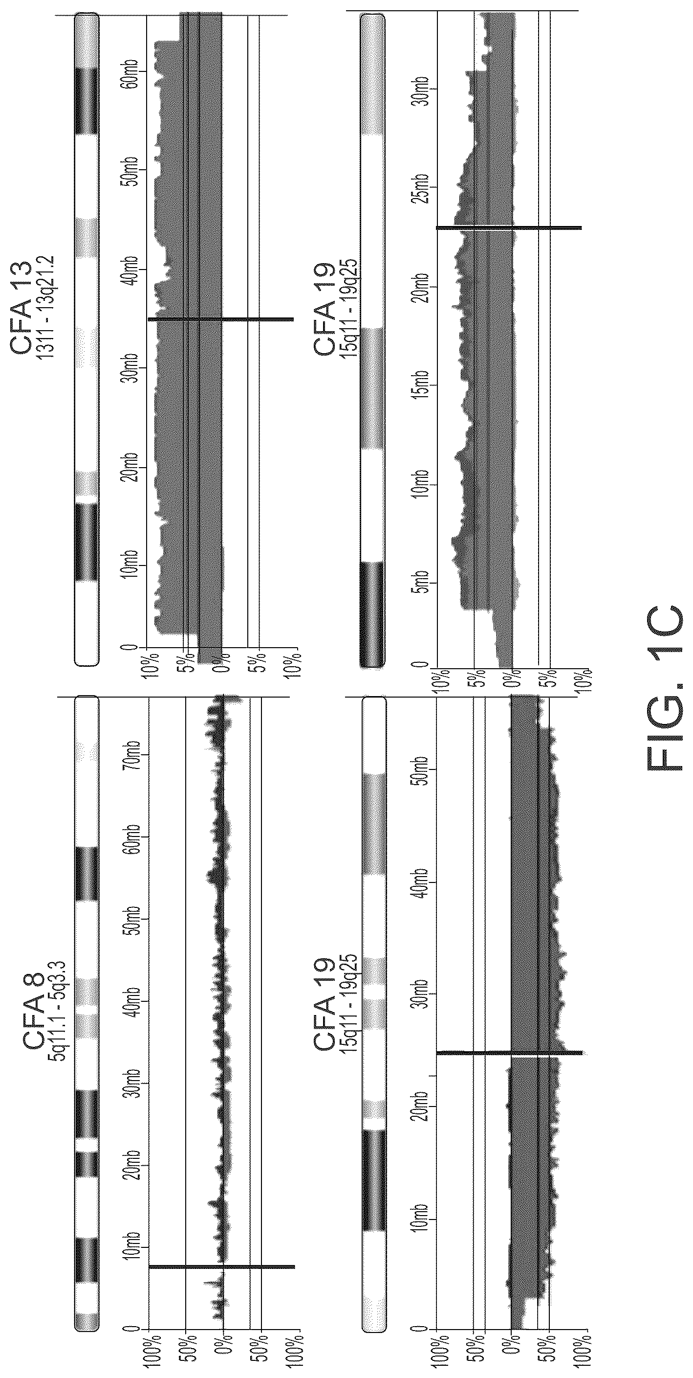 Patent US12297504 Figure 3 – Chromosomal assessment to diagnose urogenital malignancy in dogs