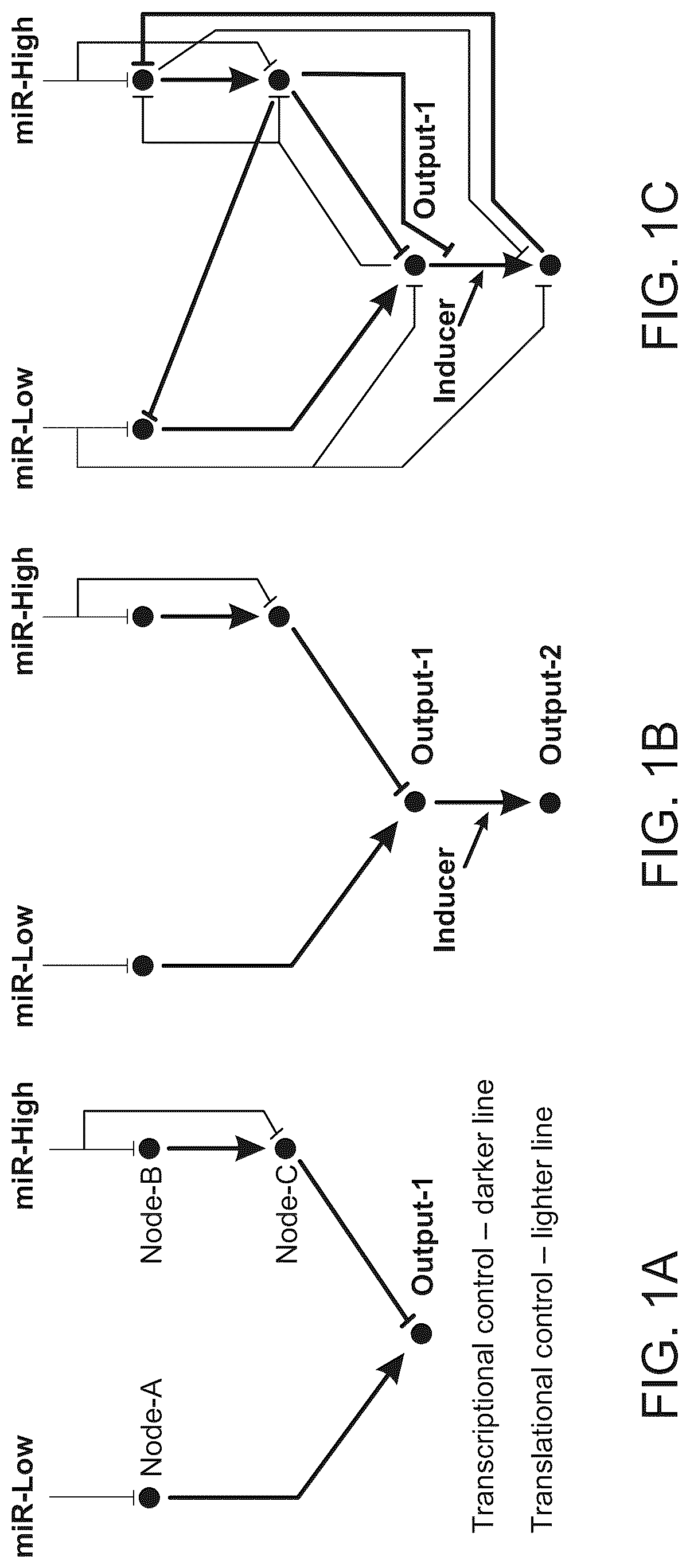 Patent US12297506 Figure 1 – High performance multi-input microRNA sensors and uses thereof