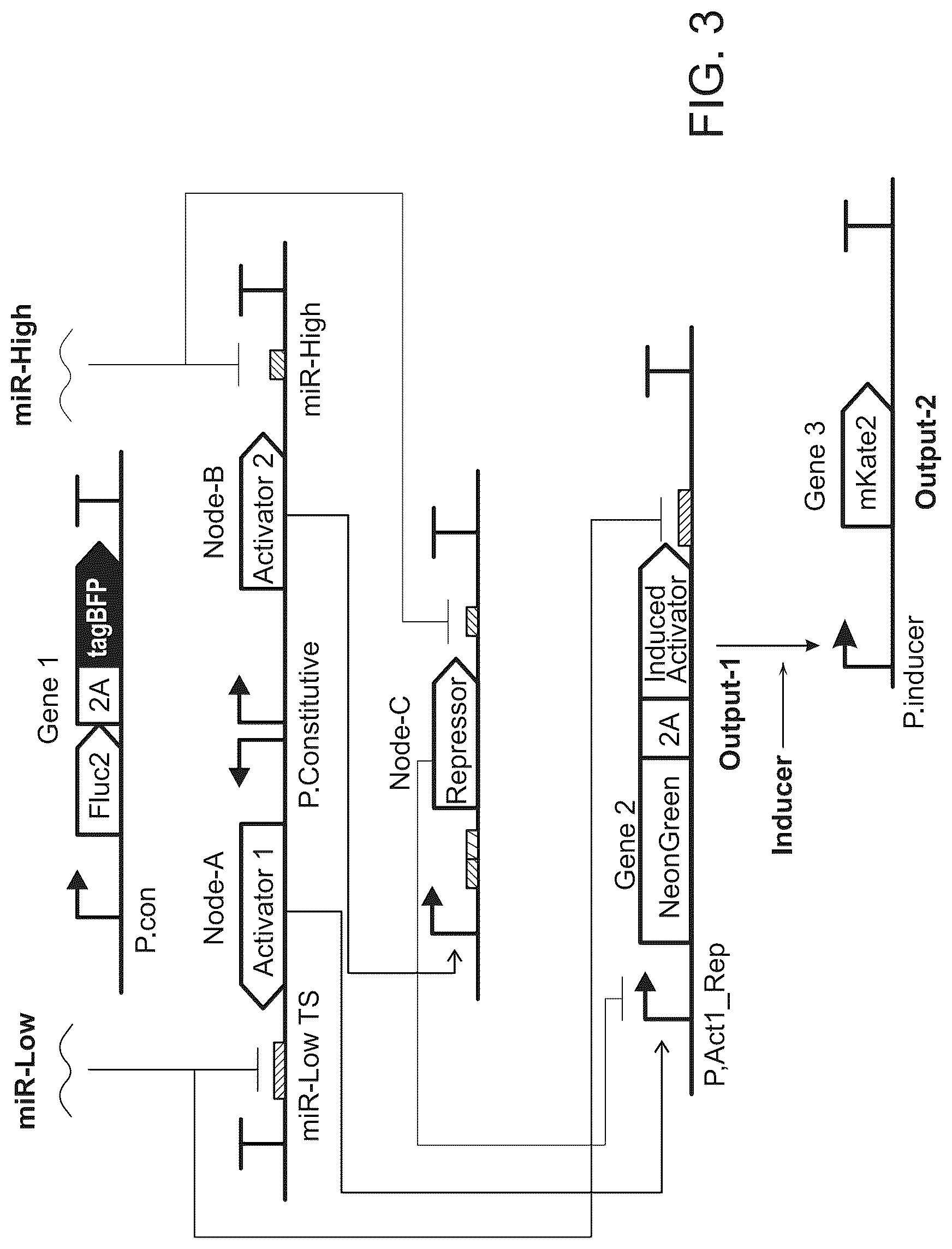 Patent US12297506 Figure 3 – High performance multi-input microRNA sensors and uses thereof