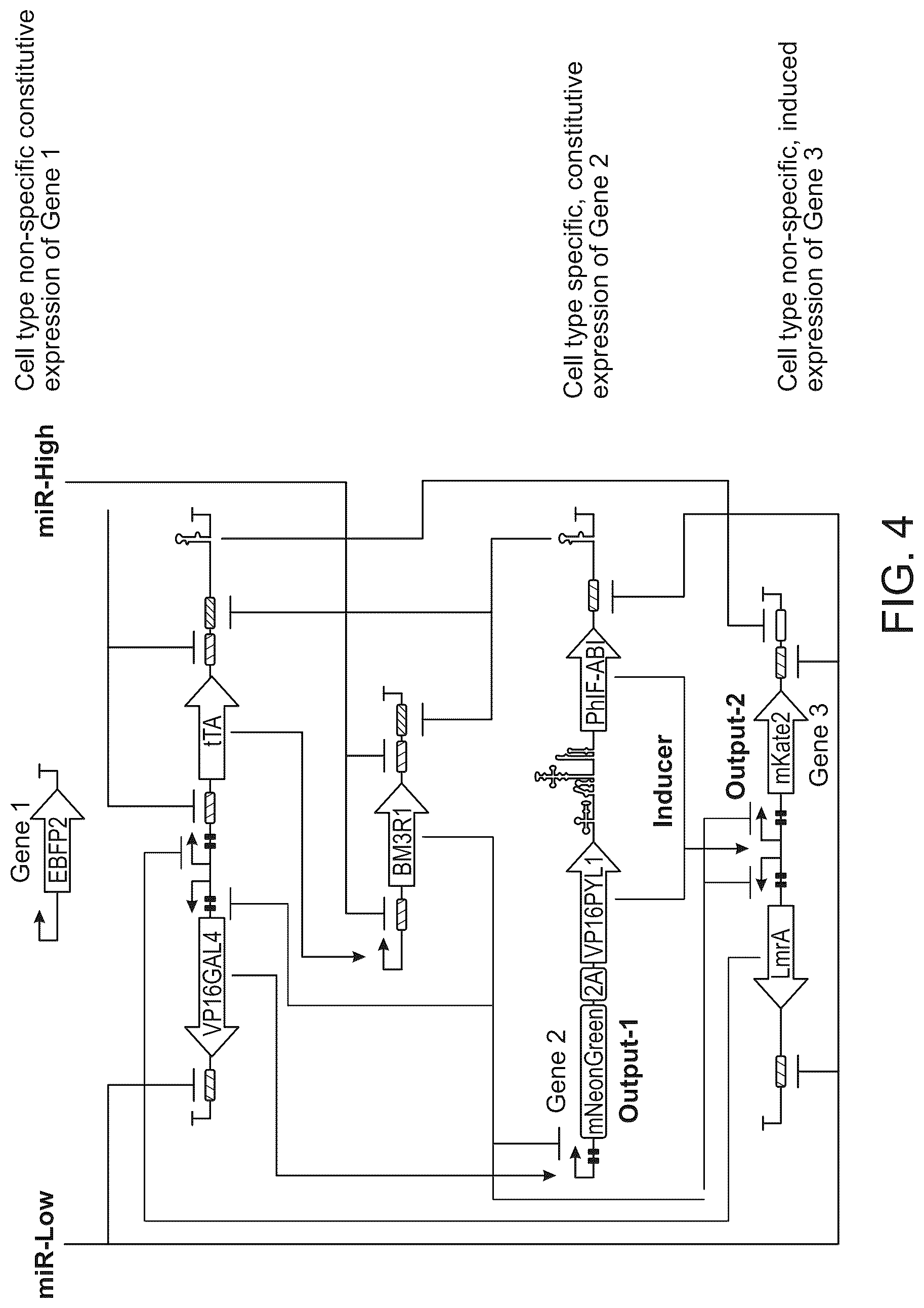 Patent US12297506 Figure 4 – High performance multi-input microRNA sensors and uses thereof