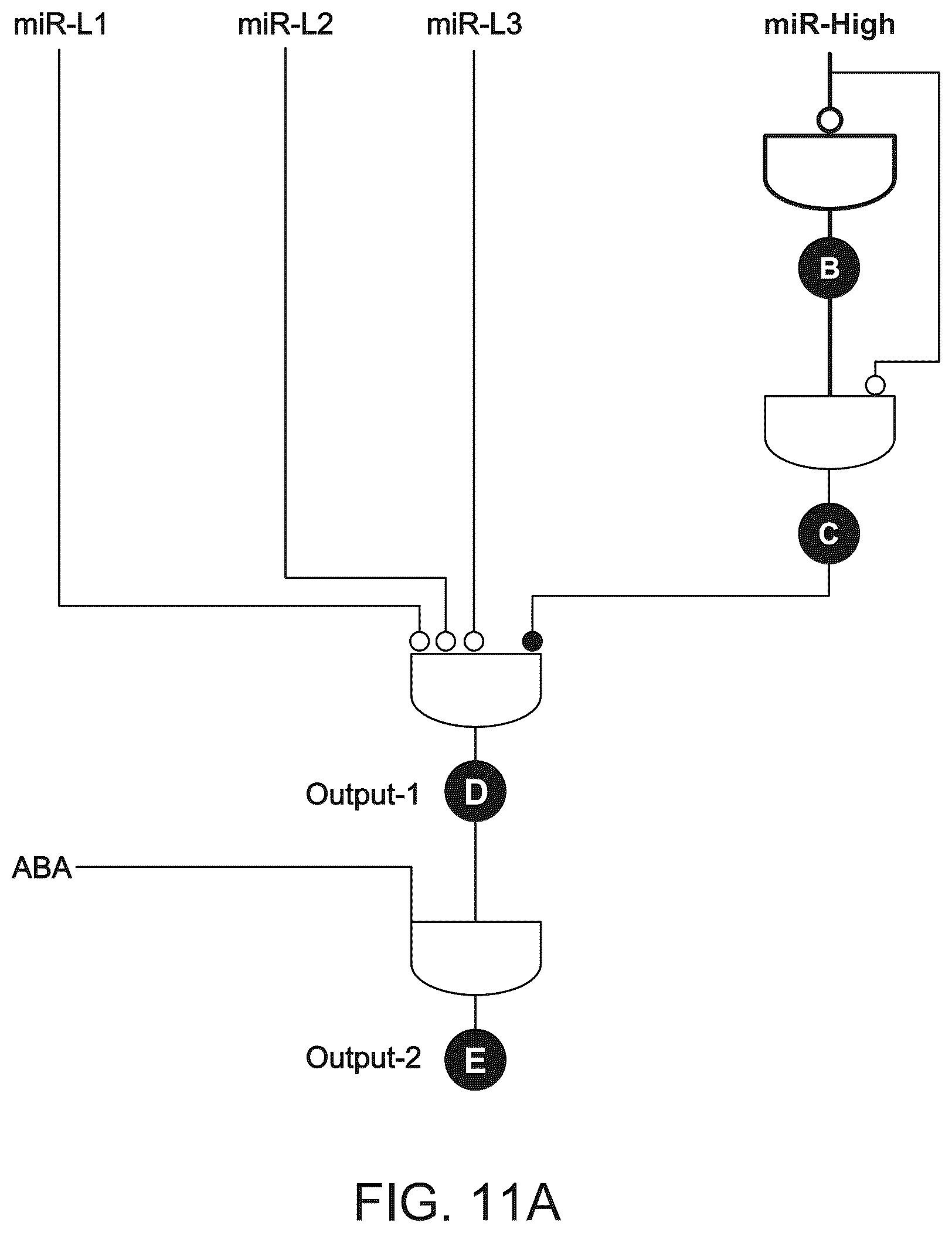 Patent US12297506 Figure 13 – High performance multi-input microRNA sensors and uses thereof
