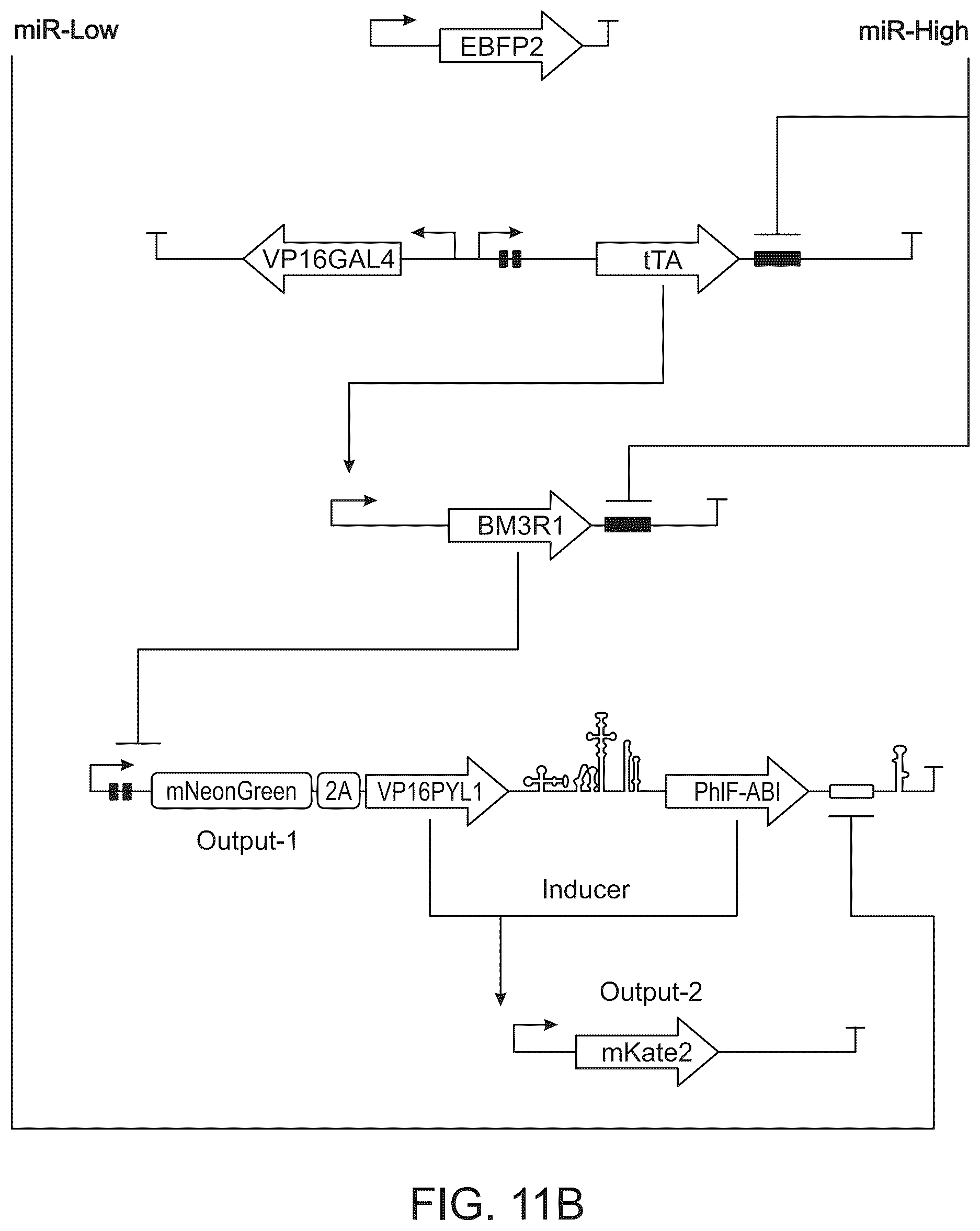 Patent US12297506 Figure 14 – High performance multi-input microRNA sensors and uses thereof