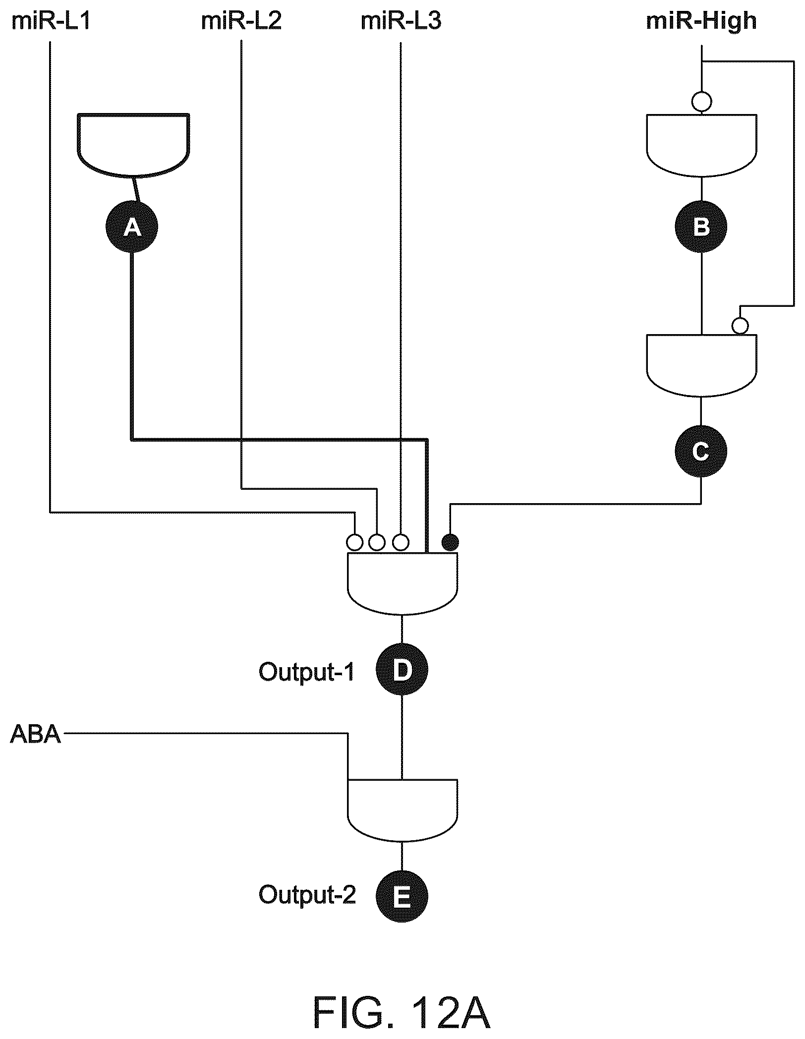 Patent US12297506 Figure 15 – High performance multi-input microRNA sensors and uses thereof