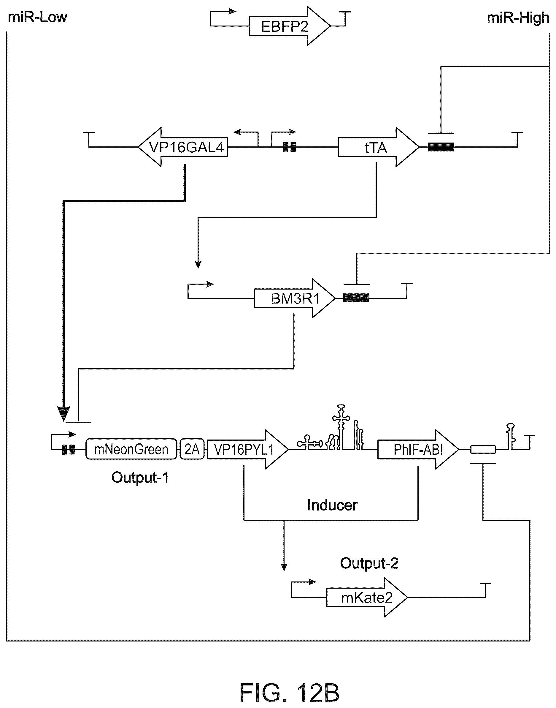 Patent US12297506 Figure 16 – High performance multi-input microRNA sensors and uses thereof