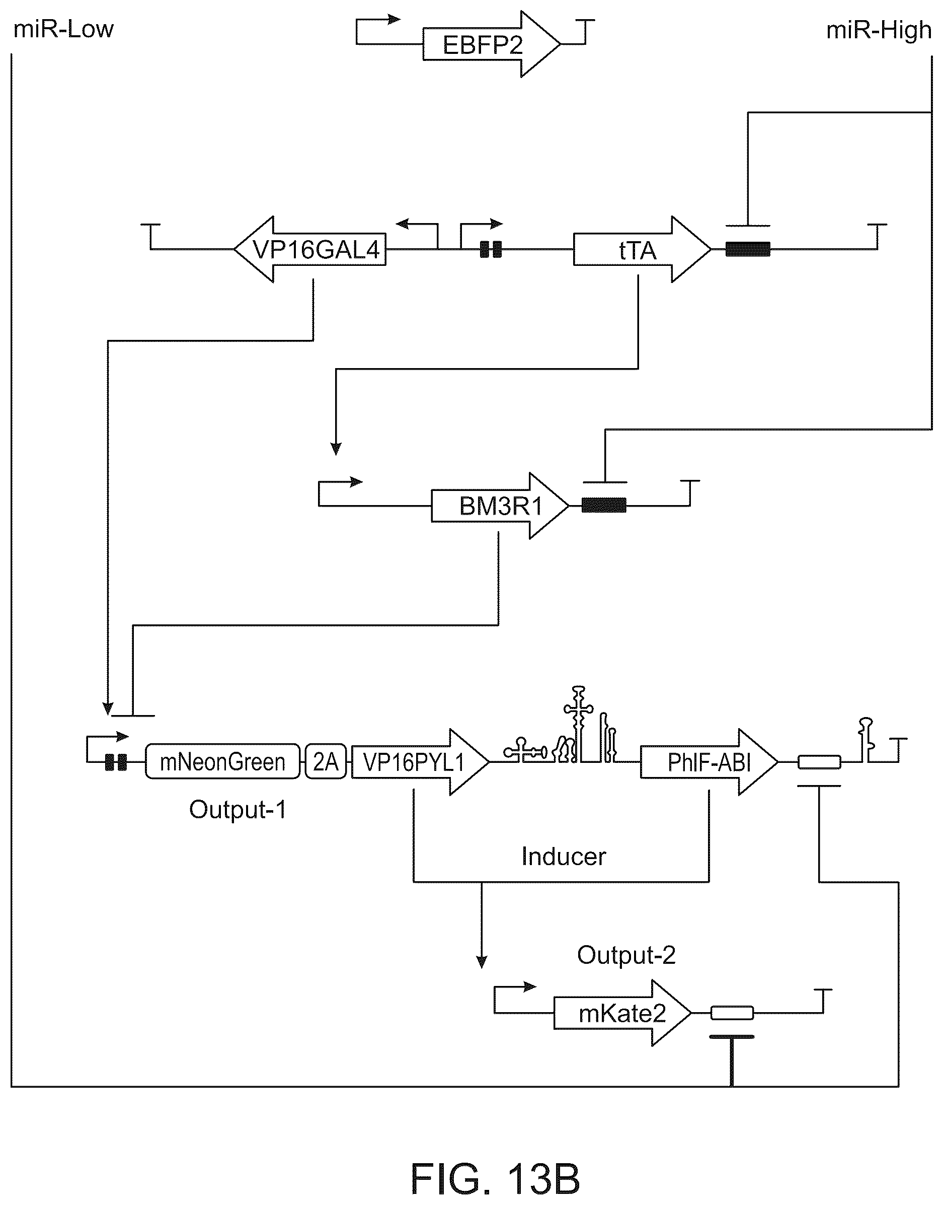 Patent US12297506 Figure 18 – High performance multi-input microRNA sensors and uses thereof