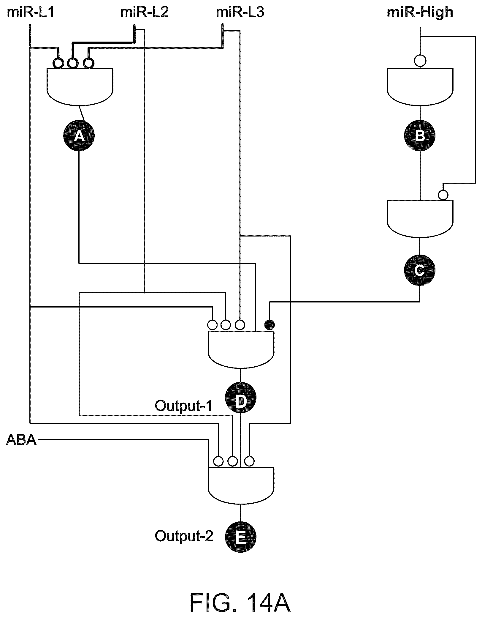 Patent US12297506 Figure 19 – High performance multi-input microRNA sensors and uses thereof