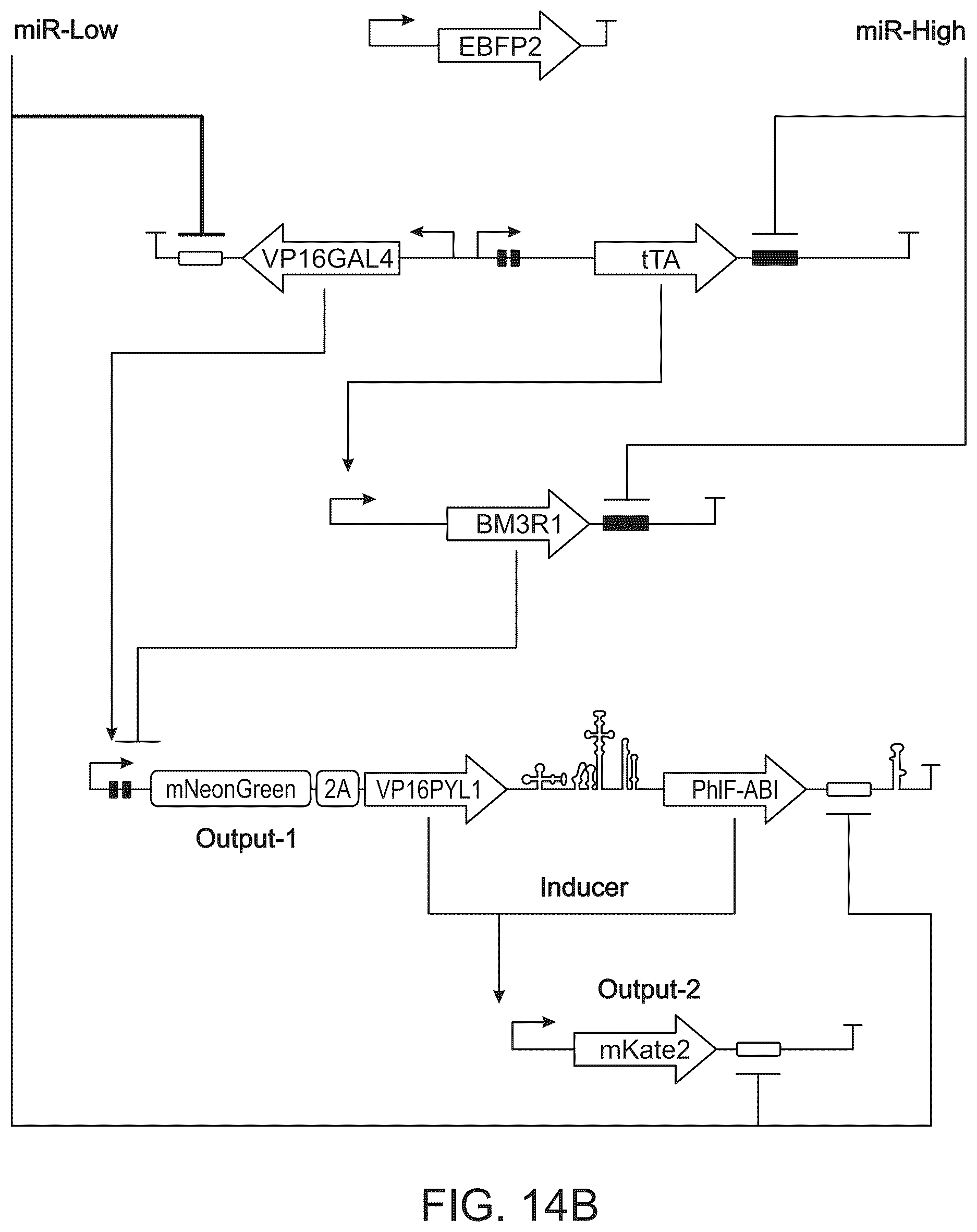 Patent US12297506 Figure 20 – High performance multi-input microRNA sensors and uses thereof