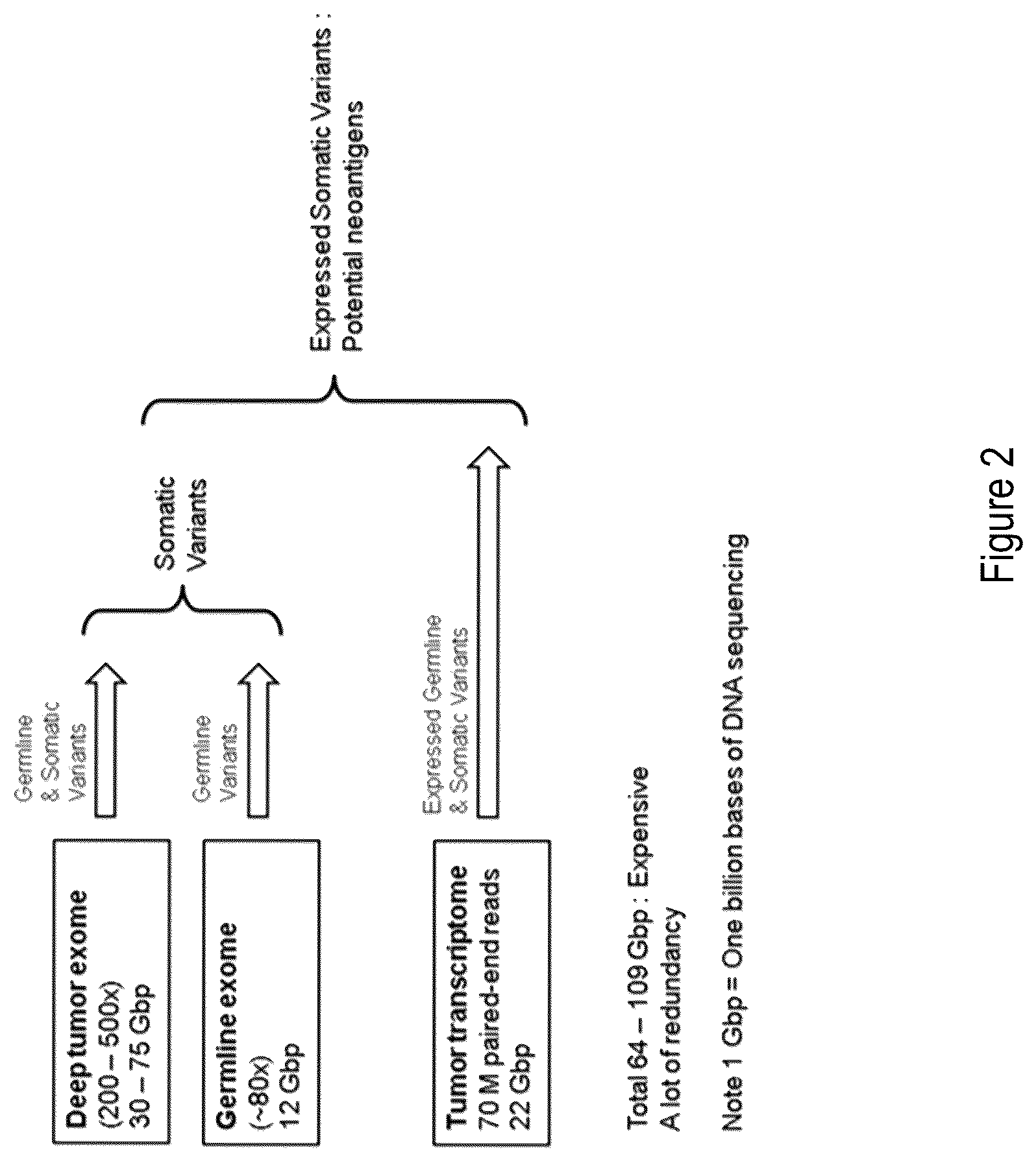 Patent US12297508 Figure 2 – Customized assays for personalized cancer monitoring