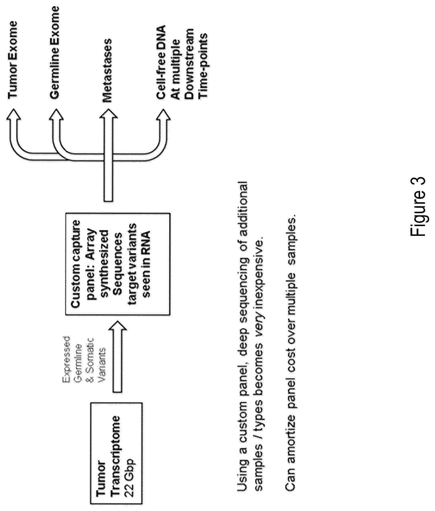 Patent US12297508 Figure 3 – Customized assays for personalized cancer monitoring