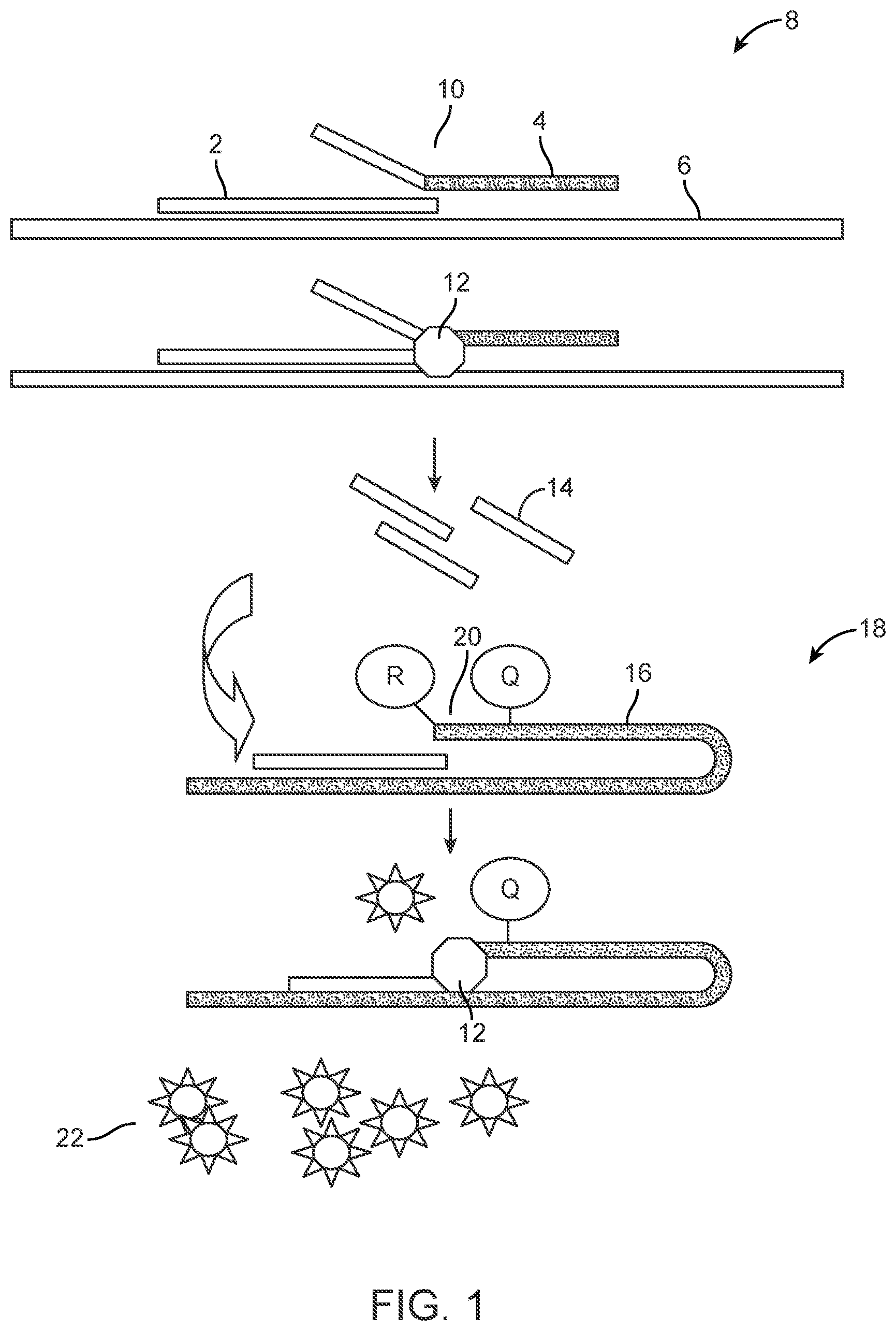 Patent US12297510 Figure 1 – Methylation assay