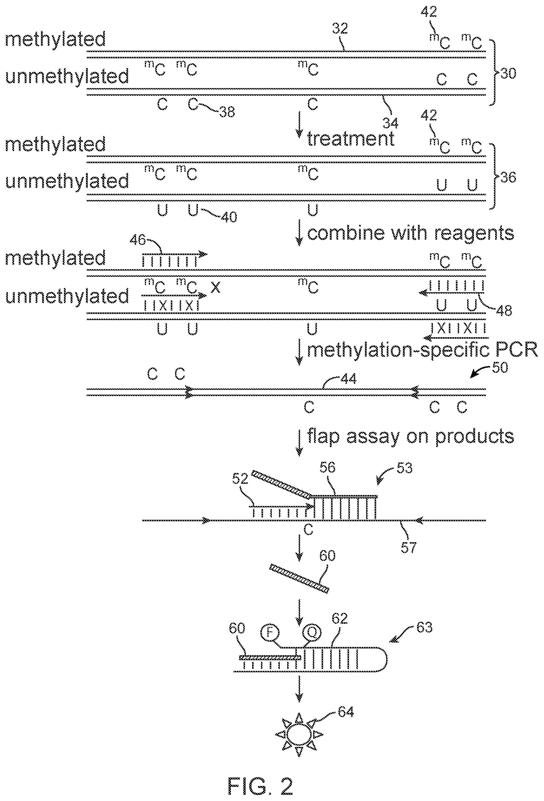Patent US12297510 Figure 2 – Methylation assay