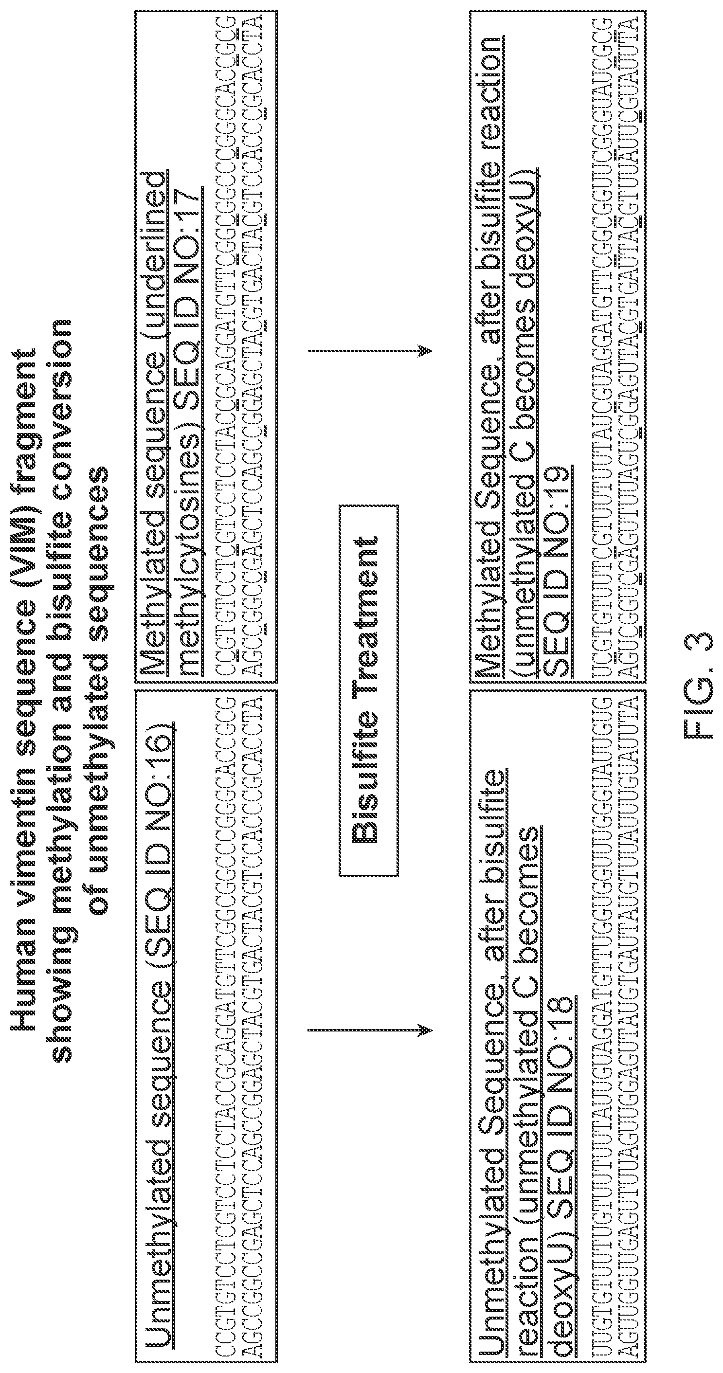 Patent US12297510 Figure 3 – Methylation assay