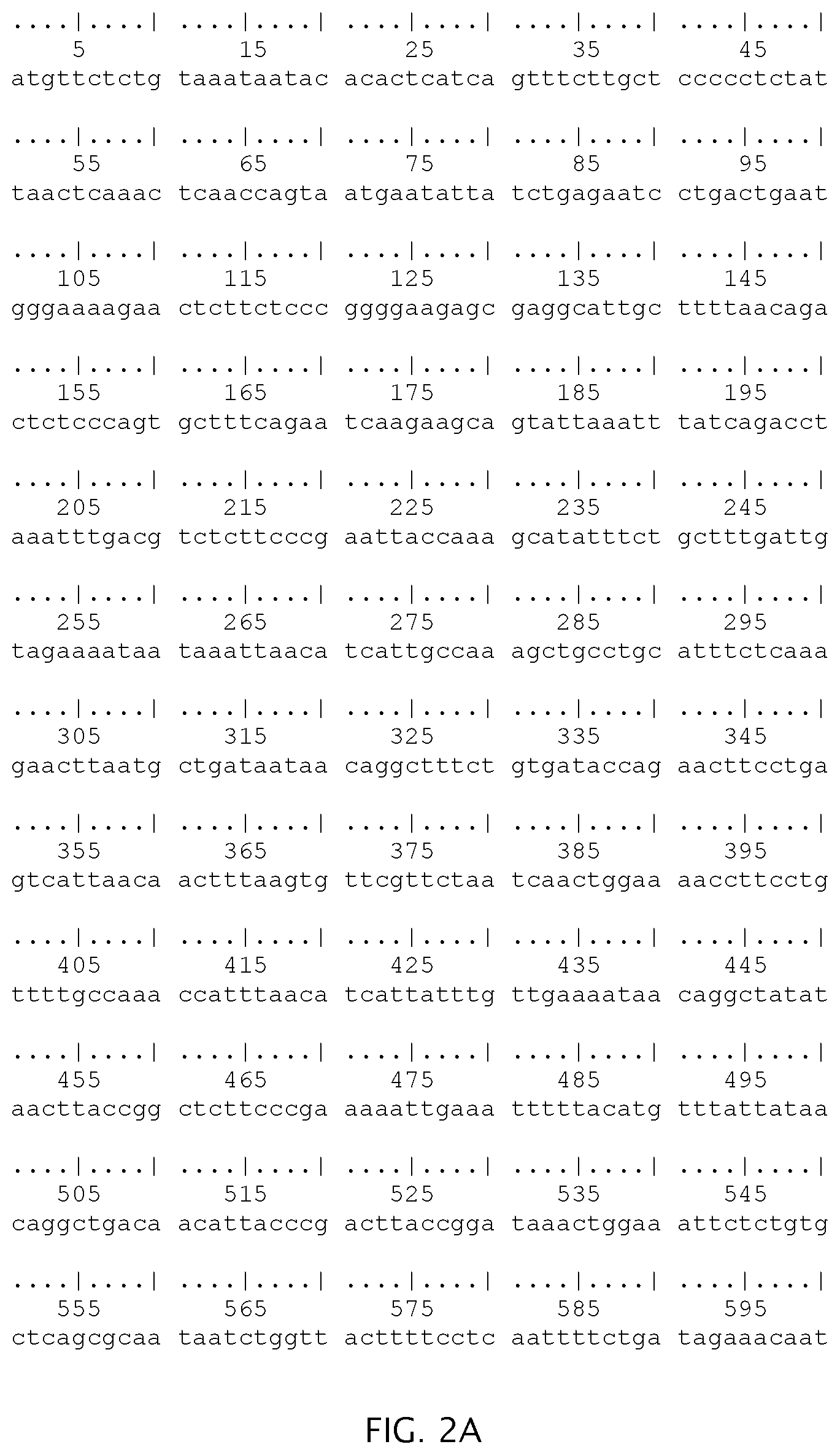 Patent US12297511 Figure 2 – Compositions and methods for detecting gastrointestinal pathogen nucleic acid