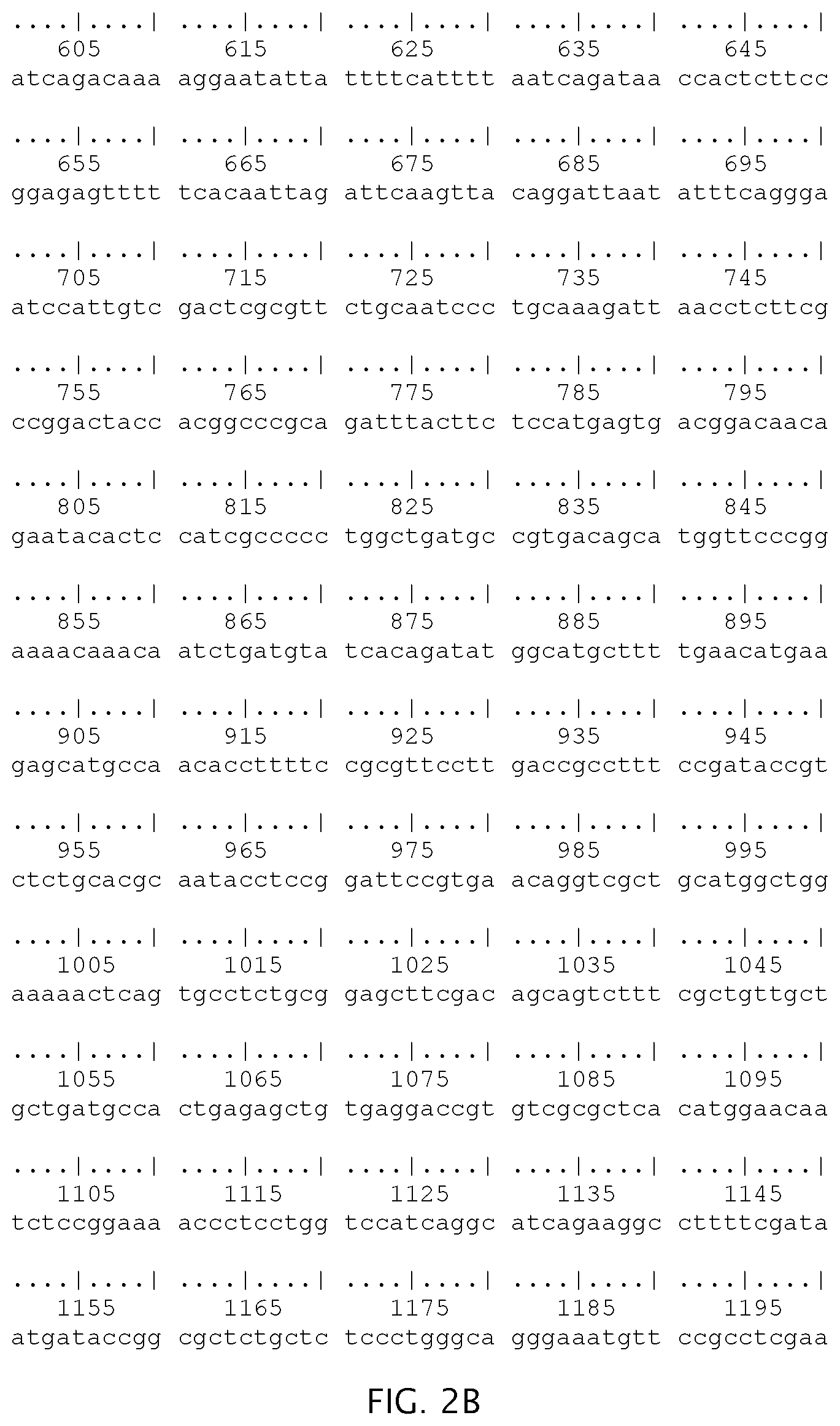 Patent US12297511 Figure 3 – Compositions and methods for detecting gastrointestinal pathogen nucleic acid