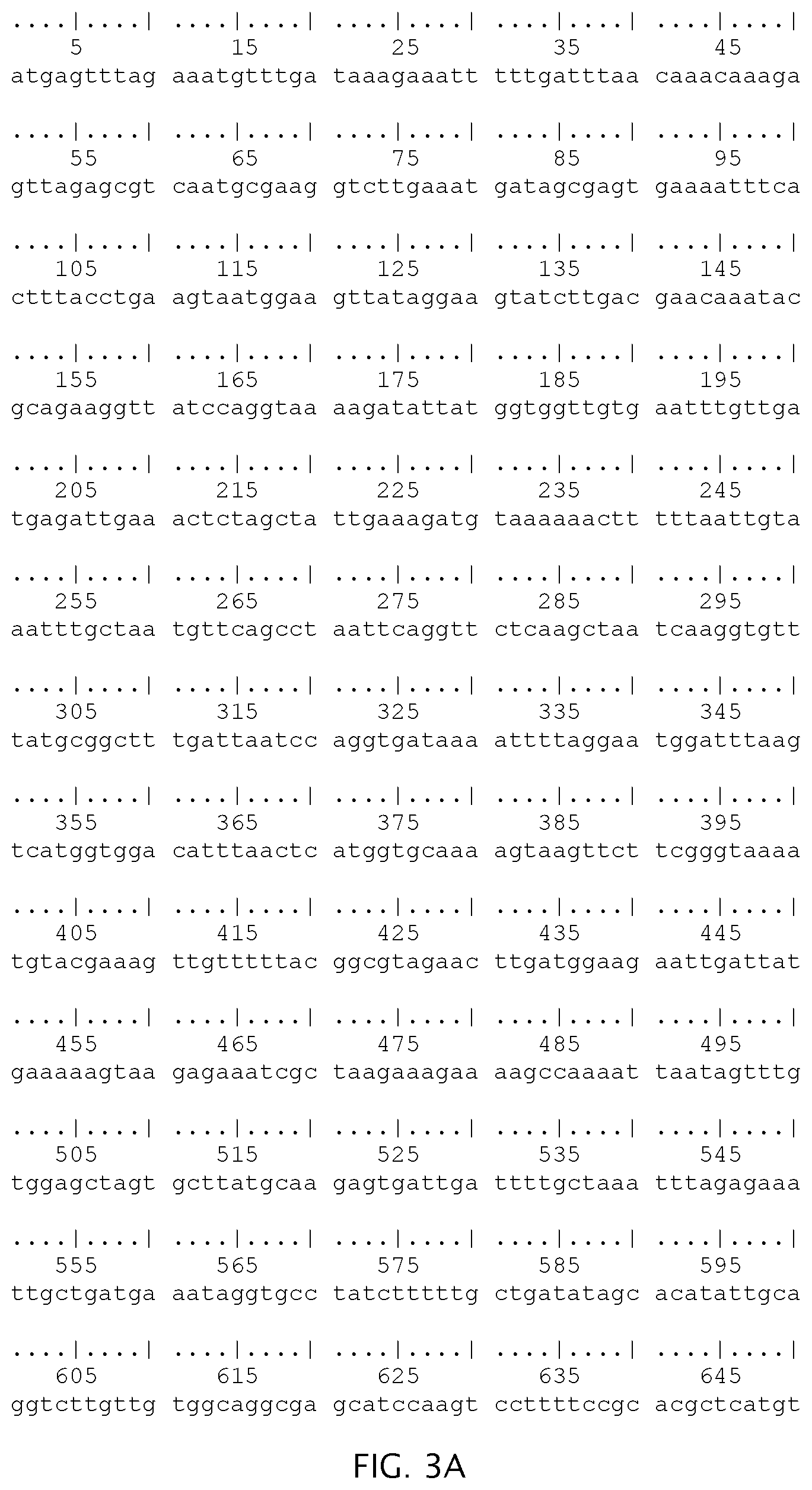 Patent US12297511 Figure 5 – Compositions and methods for detecting gastrointestinal pathogen nucleic acid