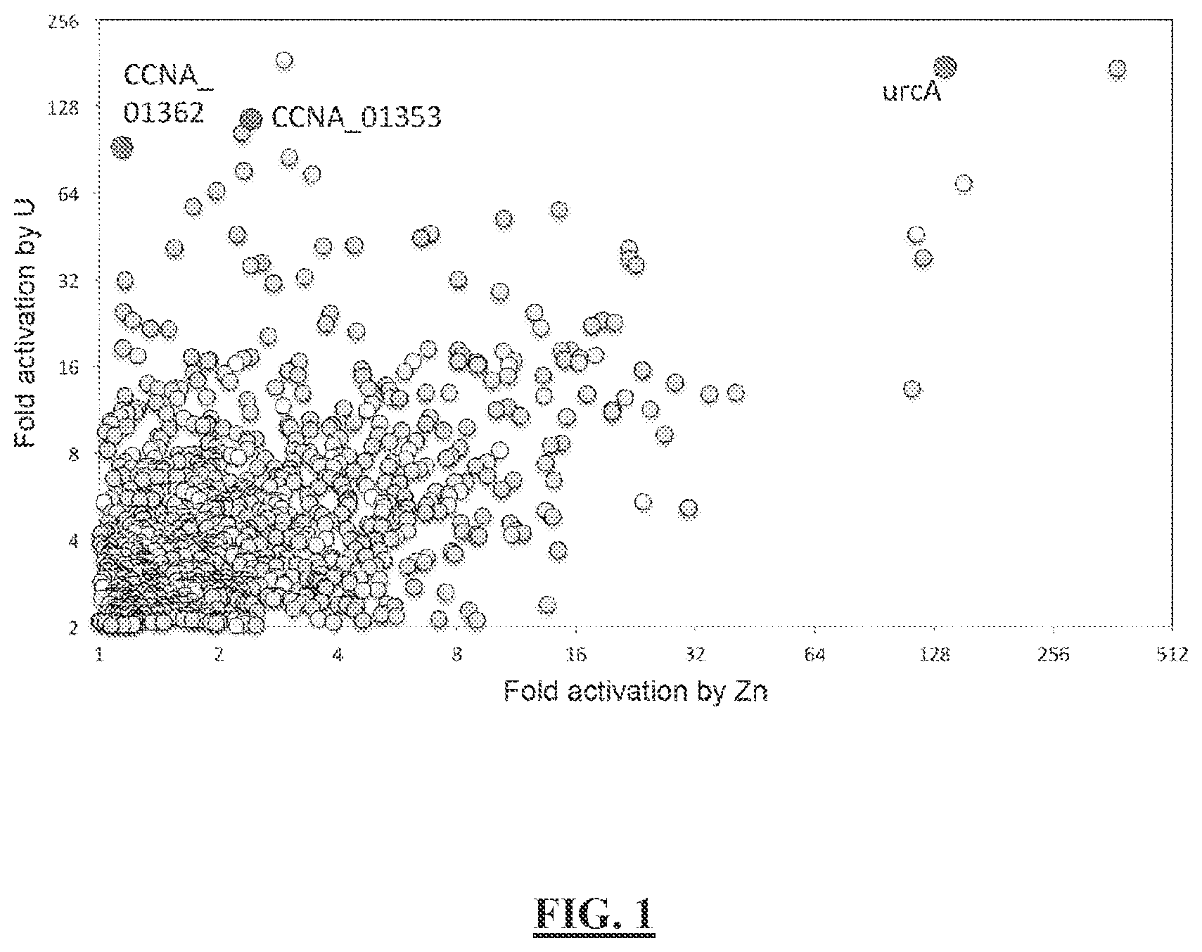 Patent US12297513 Figure 1 – Biosensors for detecting and/or neutralizing bioavailable uranium and related U-sensitive genetic molecular components, gene cassettes, vectors, genetic circuits, compositions, methods and systems