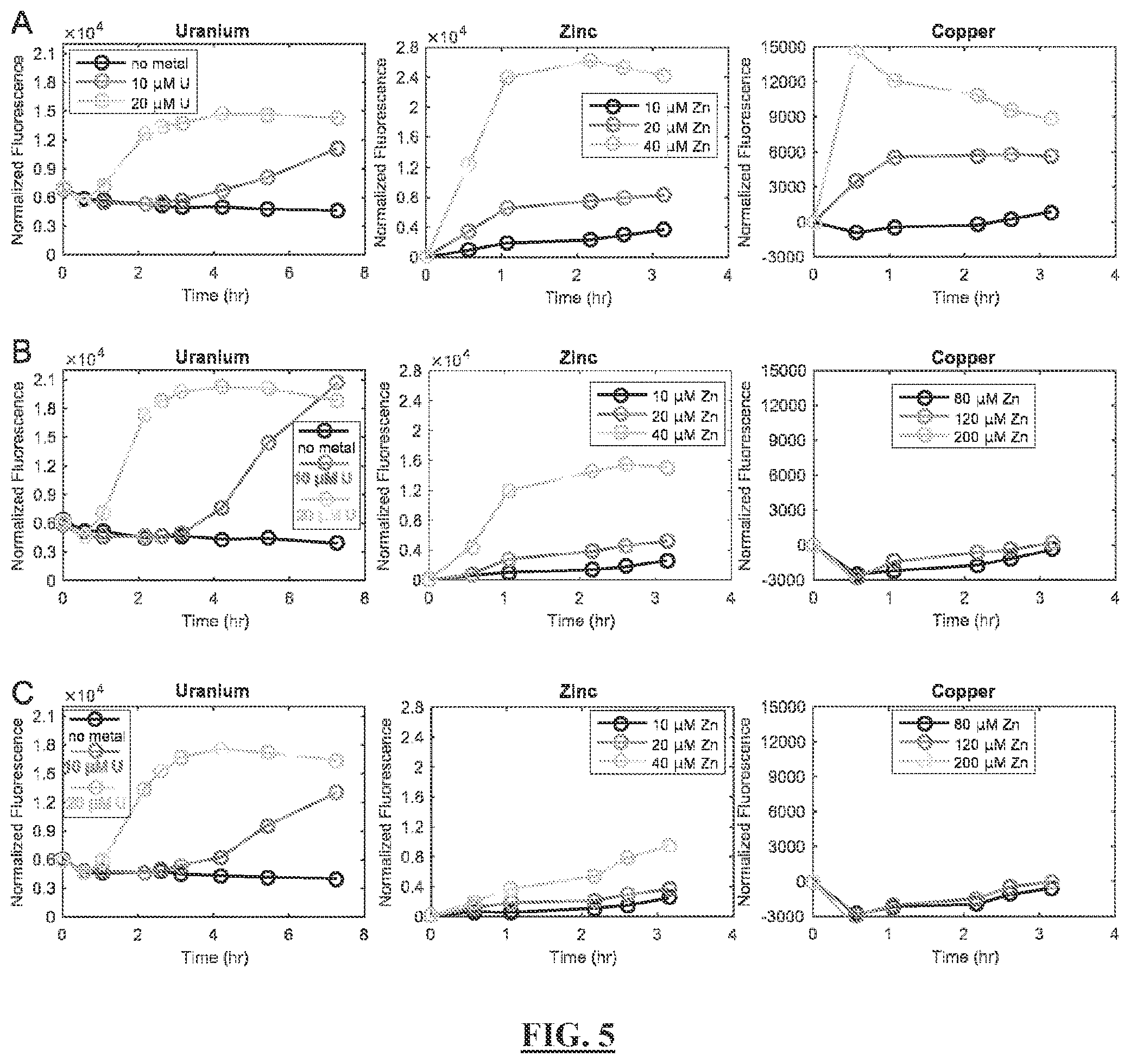 Patent US12297513 Figure 6 – Biosensors for detecting and/or neutralizing bioavailable uranium and related U-sensitive genetic molecular components, gene cassettes, vectors, genetic circuits, compositions, methods and systems