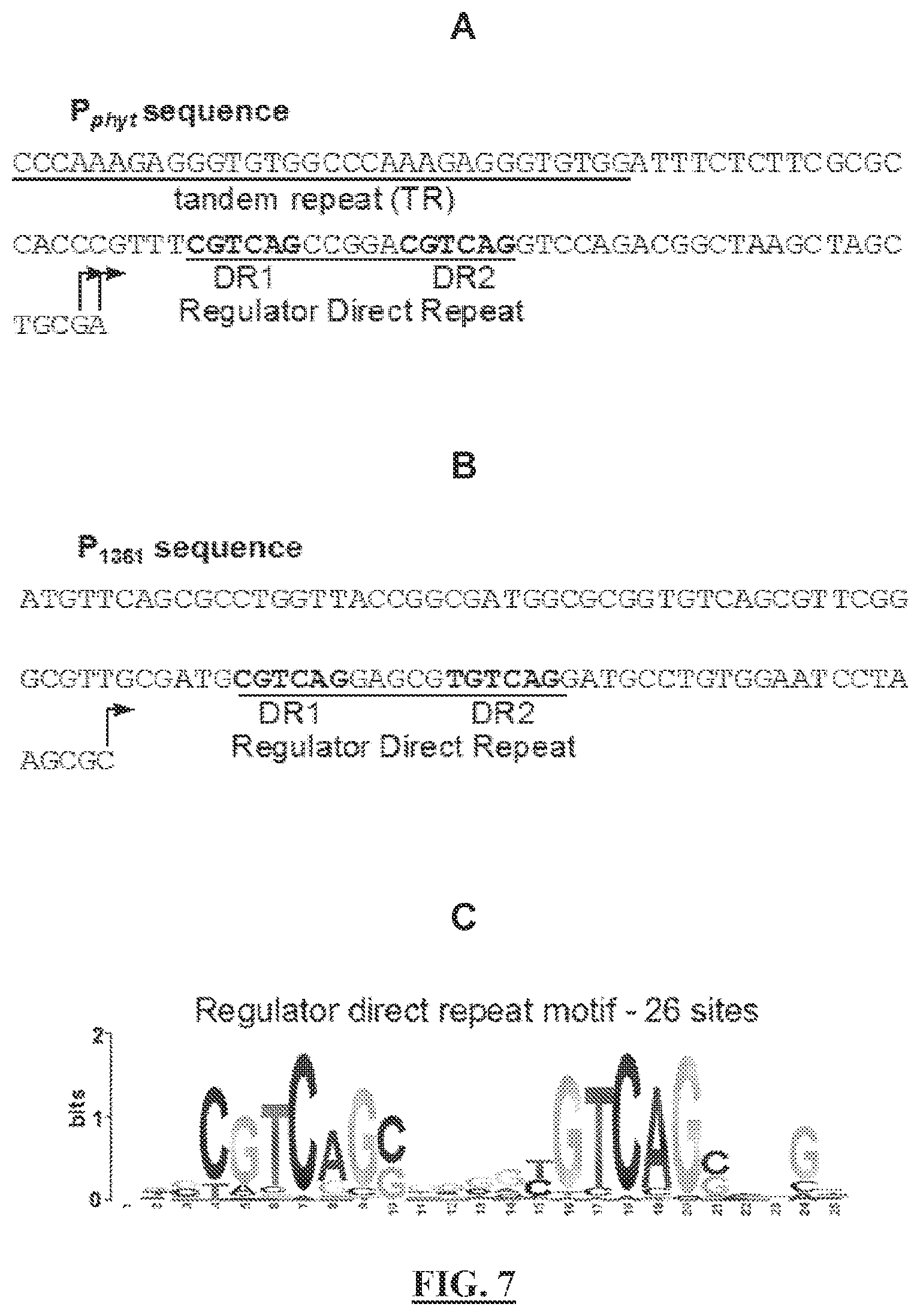 Patent US12297513 Figure 10 – Biosensors for detecting and/or neutralizing bioavailable uranium and related U-sensitive genetic molecular components, gene cassettes, vectors, genetic circuits, compositions, methods and systems