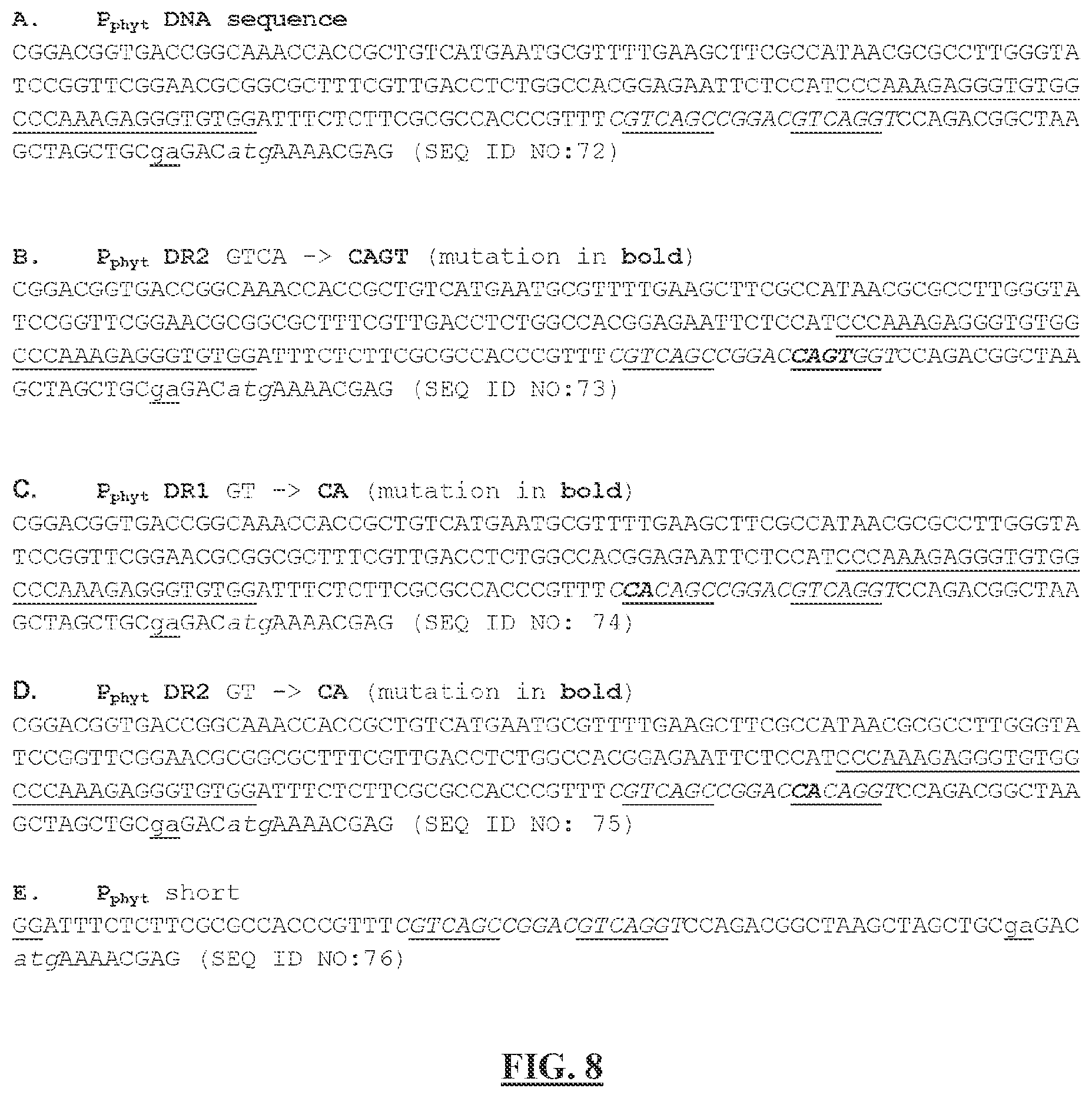 Patent US12297513 Figure 11 – Biosensors for detecting and/or neutralizing bioavailable uranium and related U-sensitive genetic molecular components, gene cassettes, vectors, genetic circuits, compositions, methods and systems