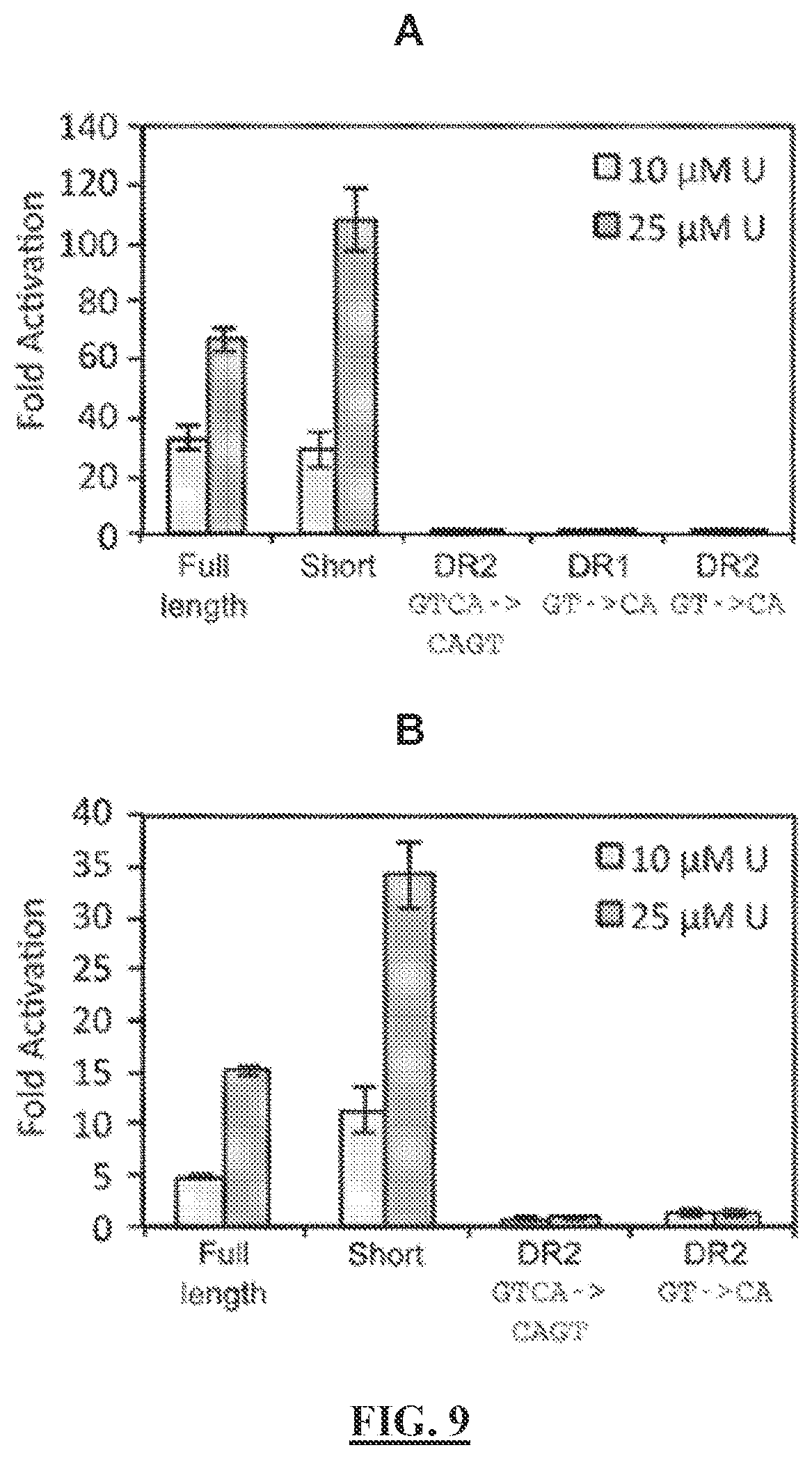 Patent US12297513 Figure 13 – Biosensors for detecting and/or neutralizing bioavailable uranium and related U-sensitive genetic molecular components, gene cassettes, vectors, genetic circuits, compositions, methods and systems