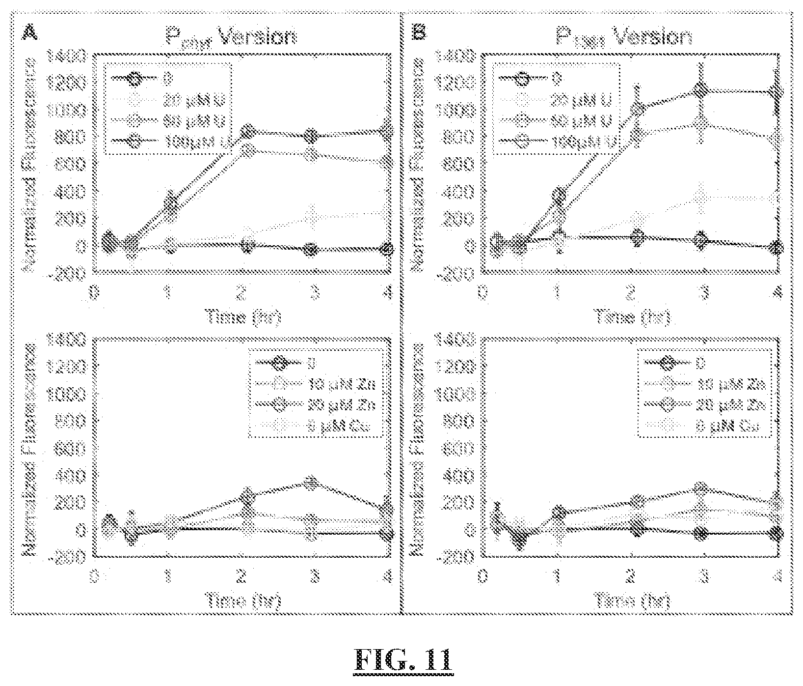 Patent US12297513 Figure 15 – Biosensors for detecting and/or neutralizing bioavailable uranium and related U-sensitive genetic molecular components, gene cassettes, vectors, genetic circuits, compositions, methods and systems