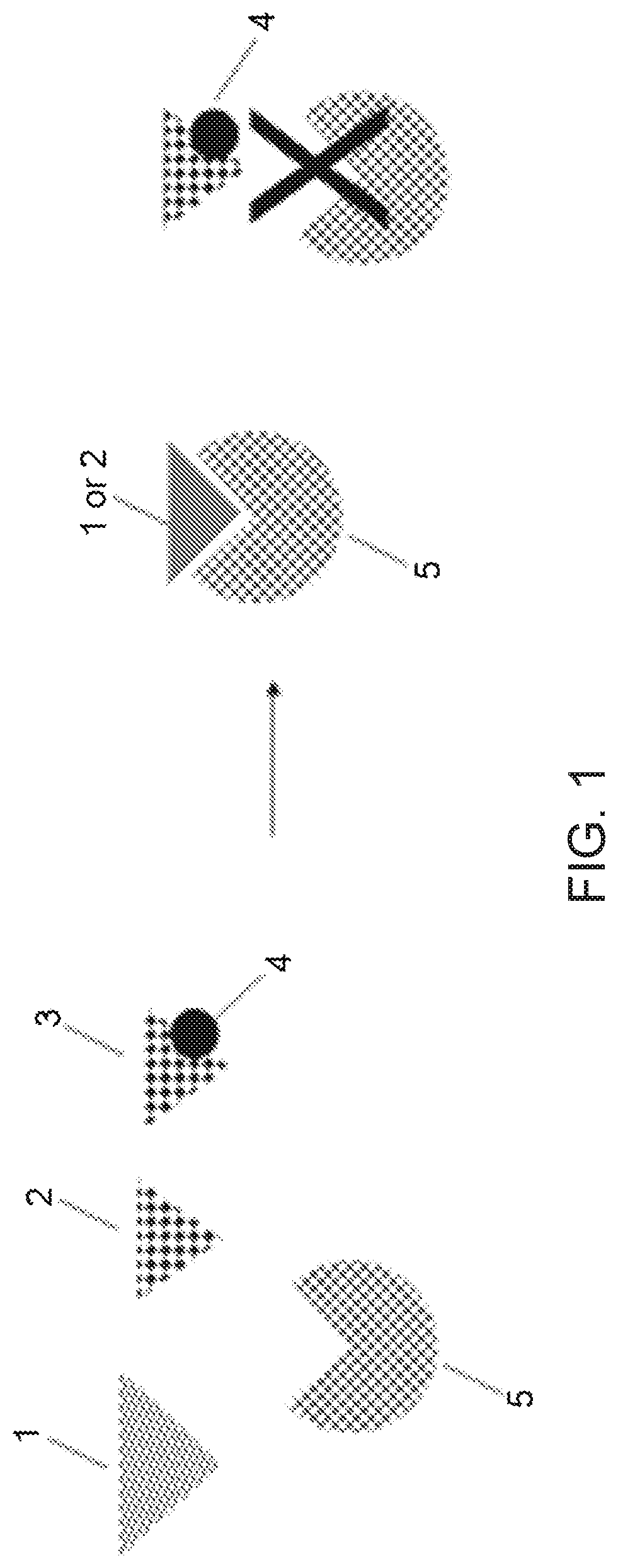 Patent US12297565 Figure 1 – Methods and means for preparing a library for sequencing