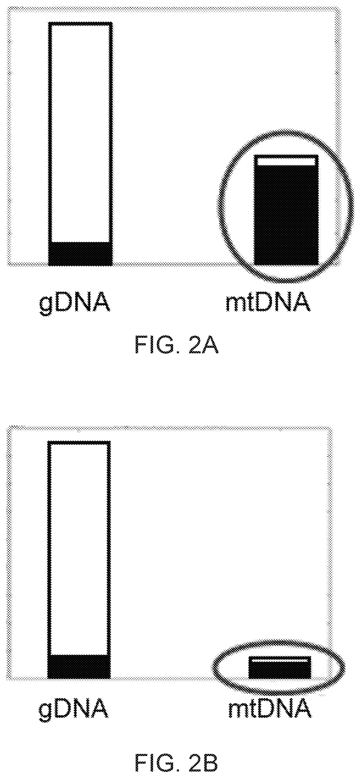 Patent US12297565 Figure 2 – Methods and means for preparing a library for sequencing