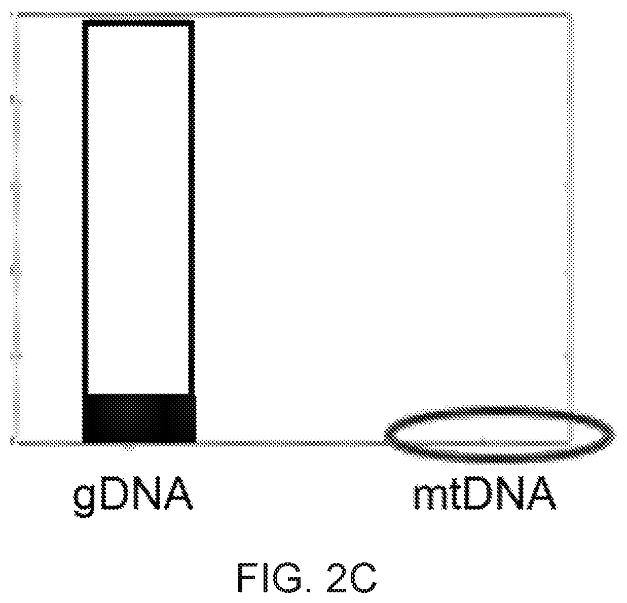 Patent US12297565 Figure 3 – Methods and means for preparing a library for sequencing
