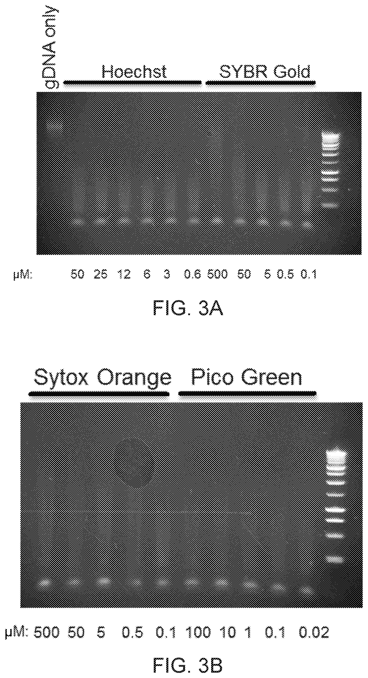 Patent US12297565 Figure 4 – Methods and means for preparing a library for sequencing