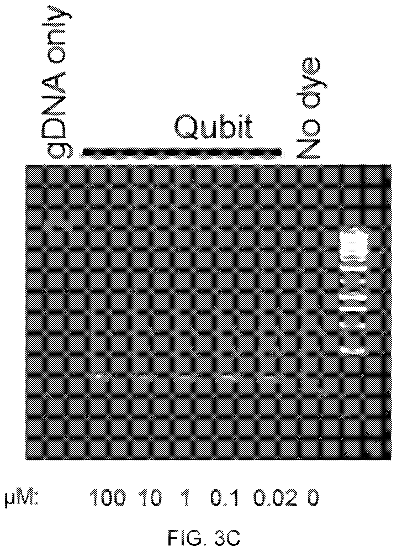 Patent US12297565 Figure 5 – Methods and means for preparing a library for sequencing