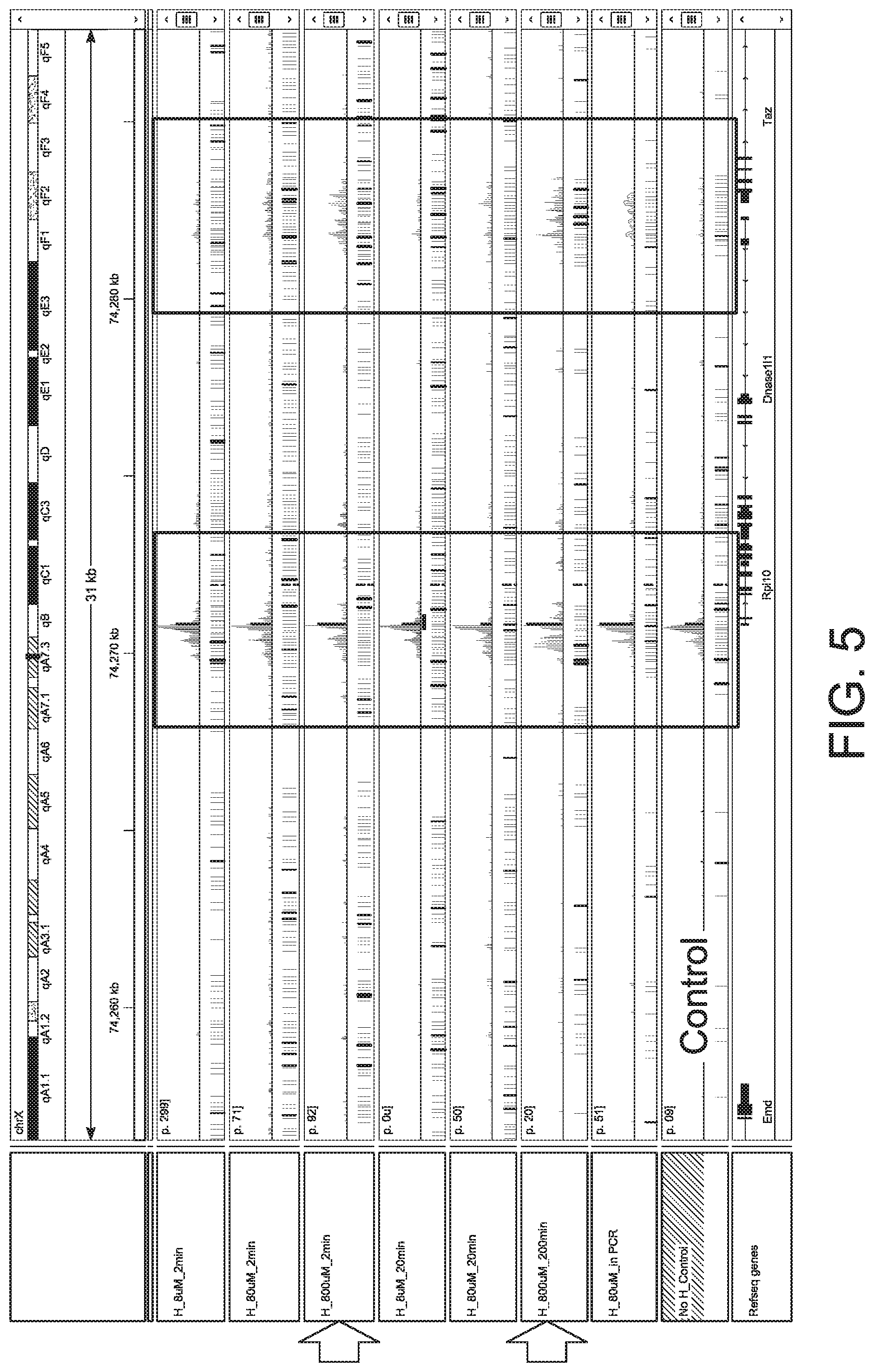 Patent US12297565 Figure 7 – Methods and means for preparing a library for sequencing