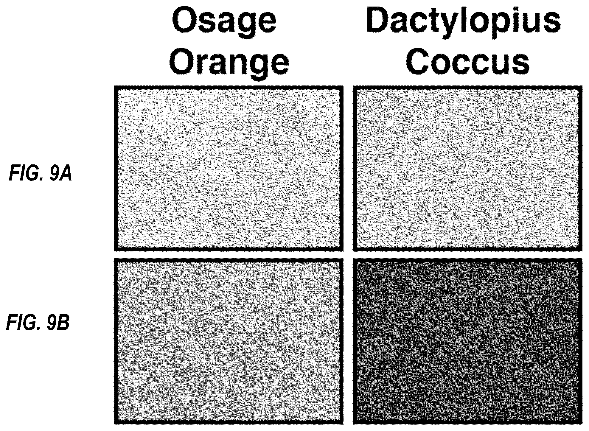 Patent US12297592 Figure 9 – Vapor phase infiltration as a tool to affix molecules to polymer surfaces