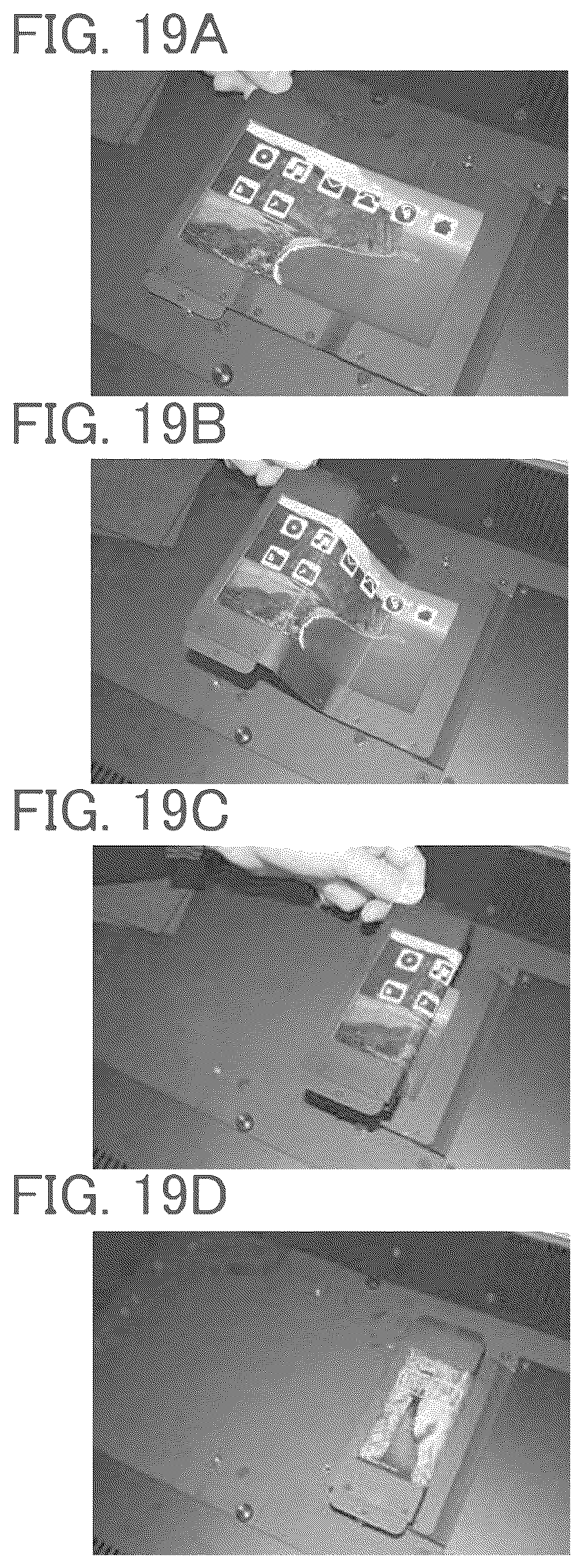 Patent US12297981 Figure 19 – Light-emitting device