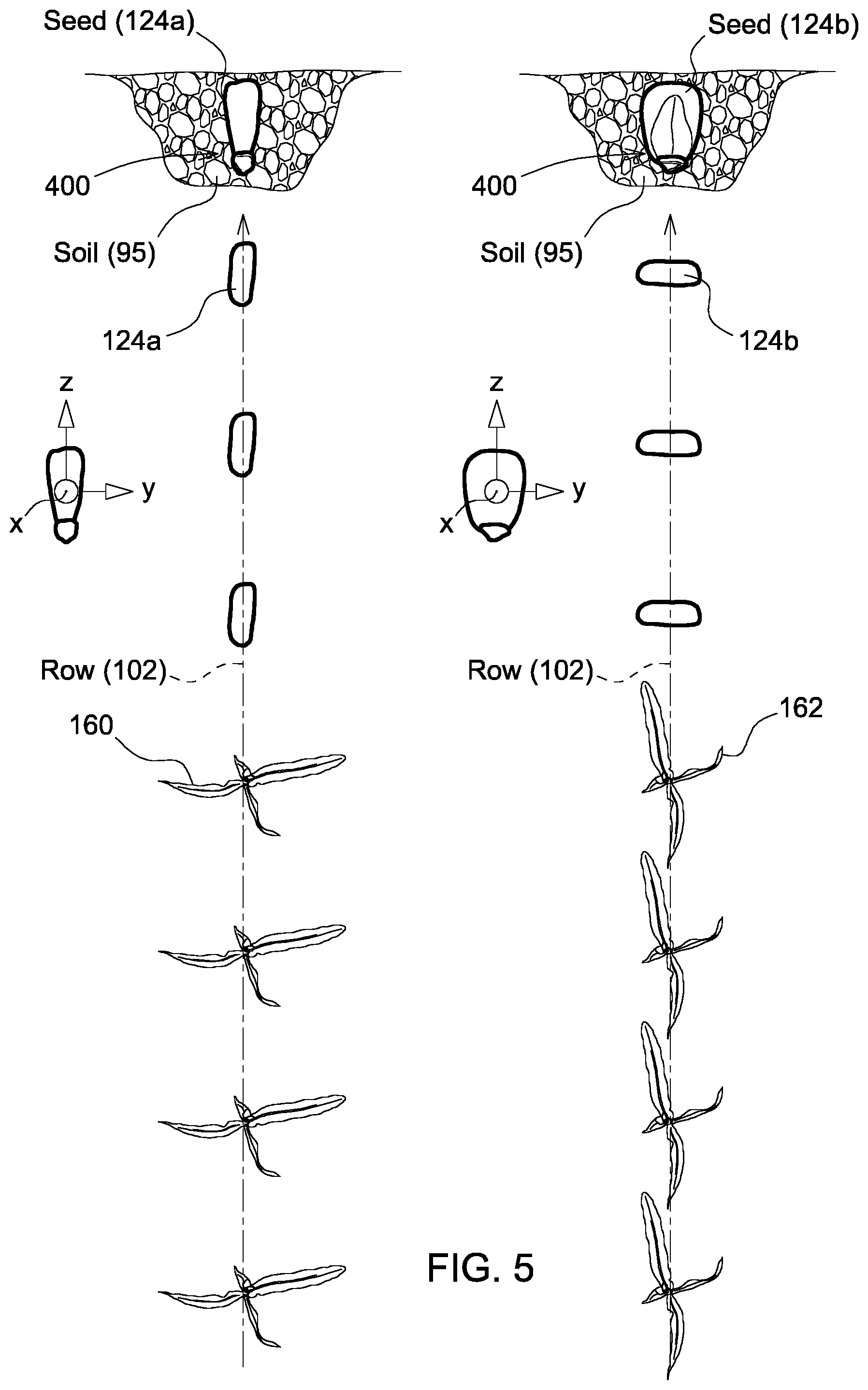 Patent US12302780 Figure 5 – Site-specific seed orientation