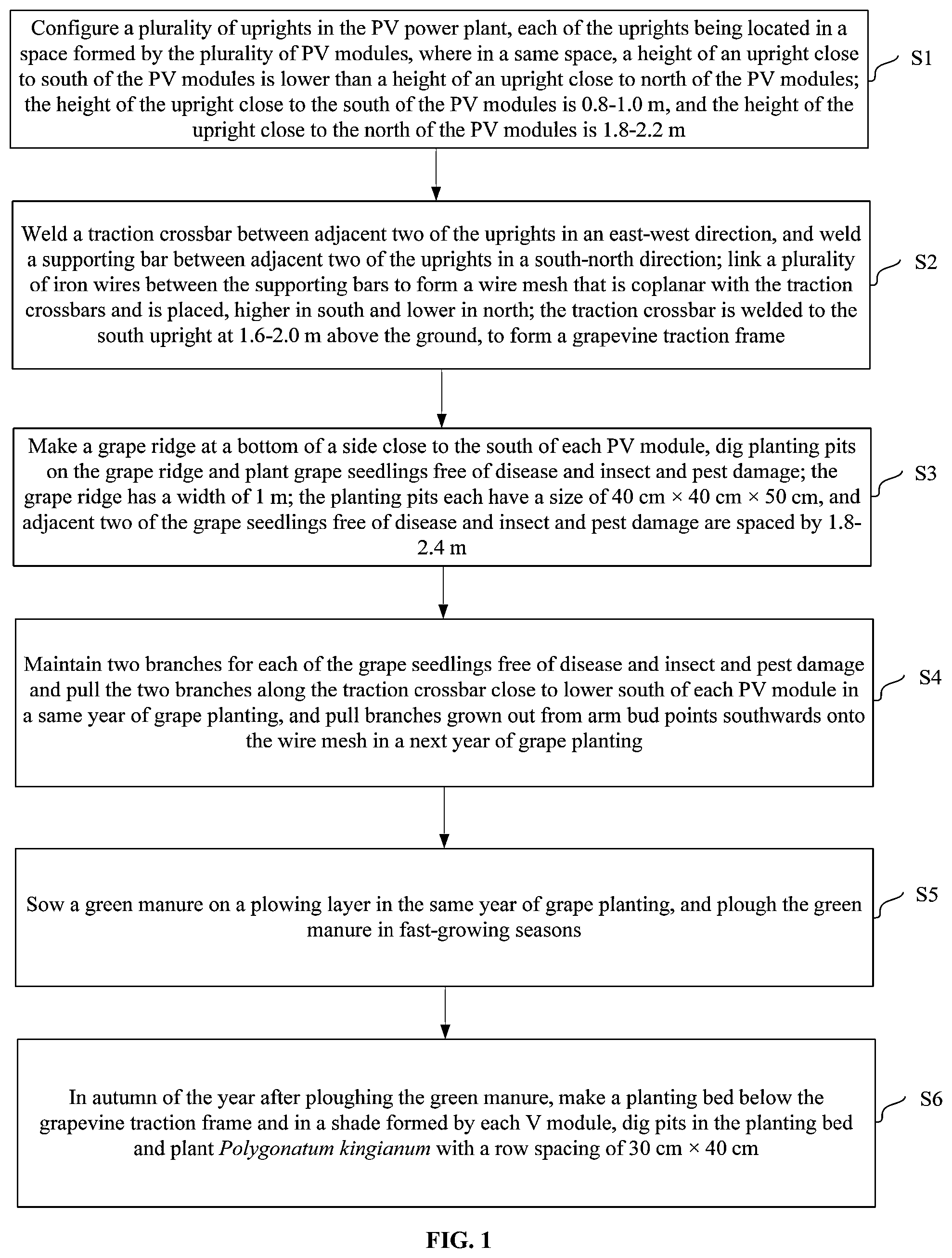 Patent US12302800 Figure 1 – Method for interplanting grape and Polygonatum kingianum in photovoltaic (PV) power plant