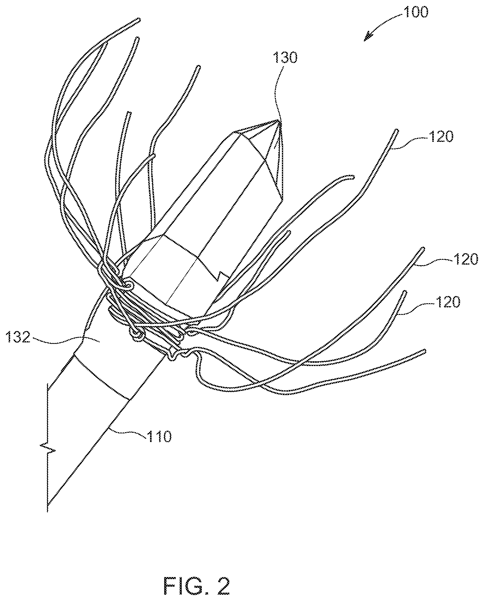 Patent US12302808 Figure 2 – Method and apparatus for stimulating plant growth