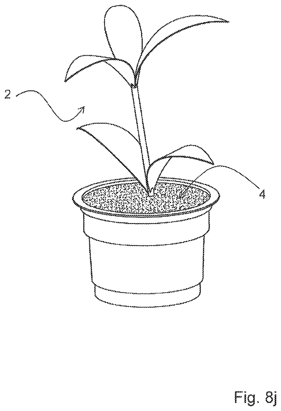 Patent US12302810 Figure 17 – Apparatus and method for planting plant cuttings
