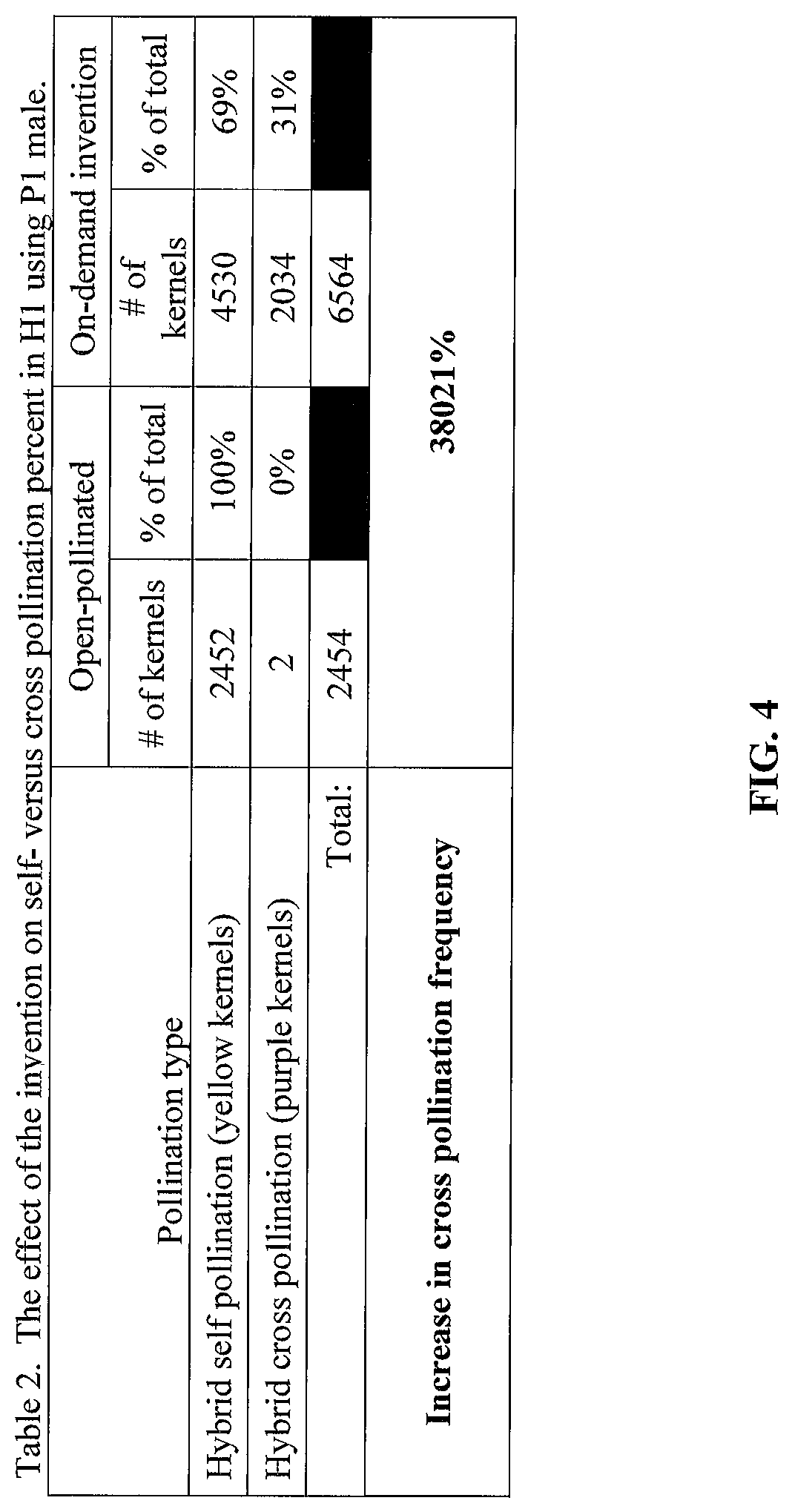 Patent US12302812 Figure 4 – Corn pollination with unrelated corn pollen