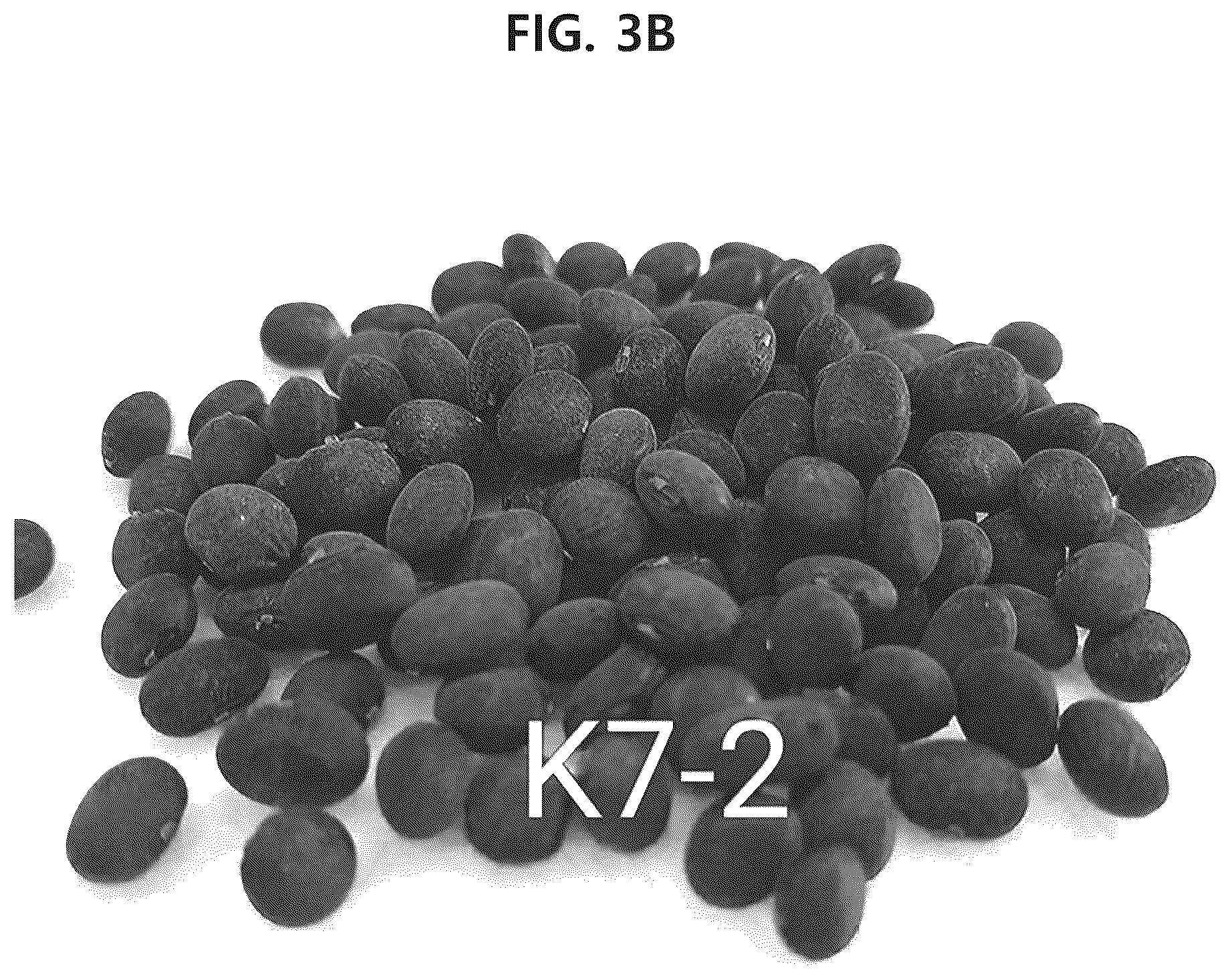 Patent US12302841 Figure 4 – Soybean variety comprising high content of epicatechin