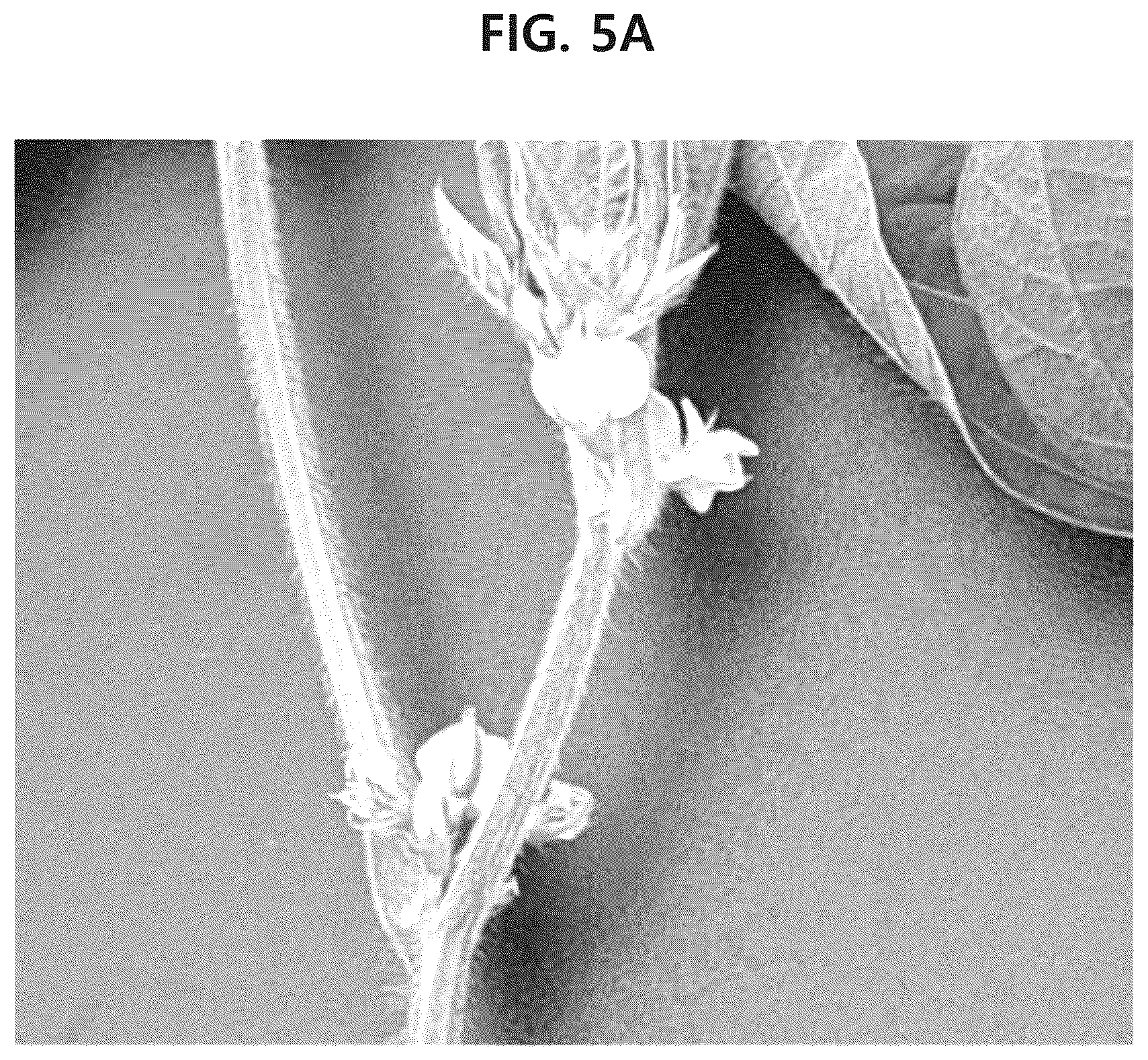 Patent US12302841 Figure 8 – Soybean variety comprising high content of epicatechin