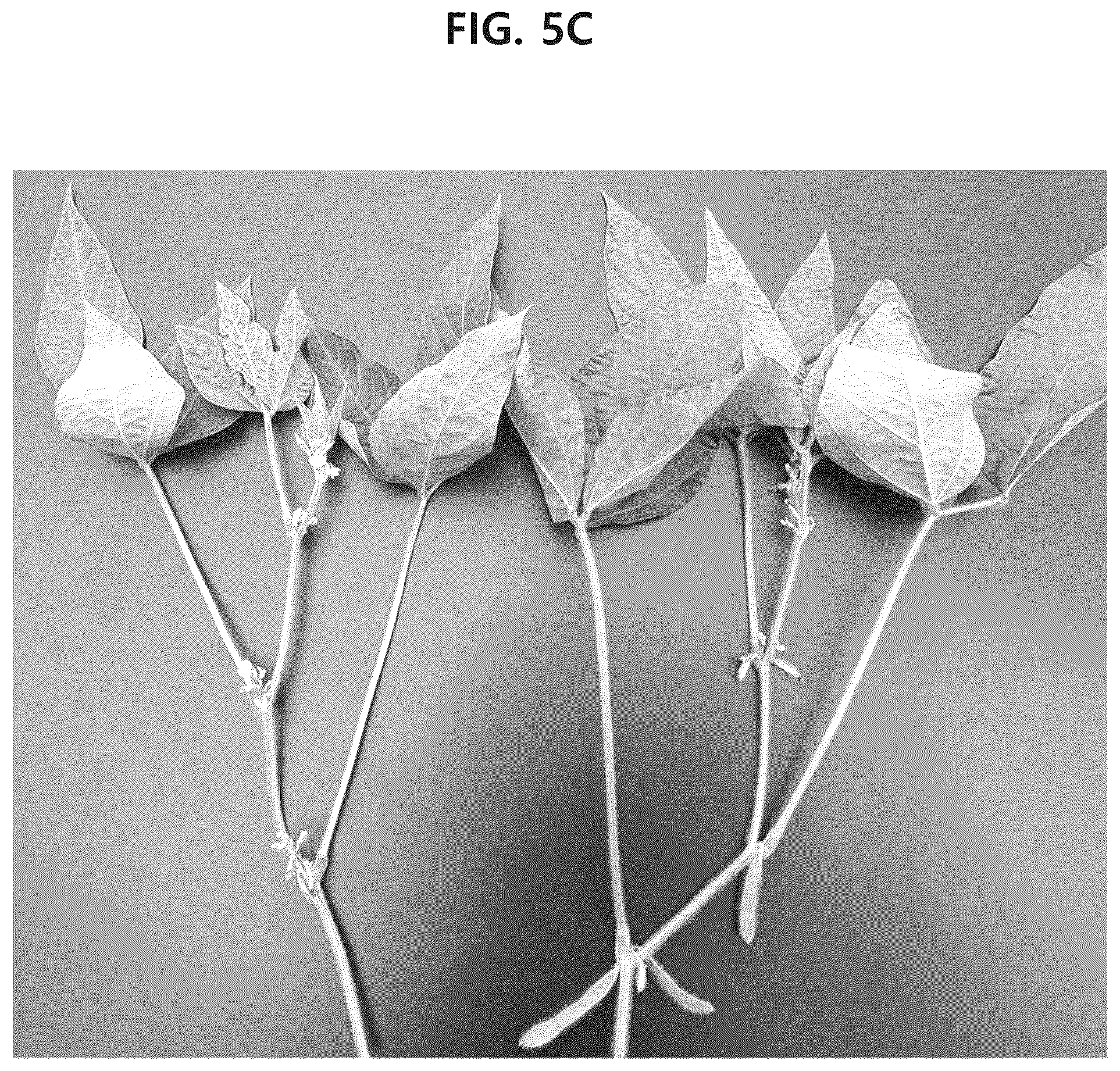 Patent US12302841 Figure 10 – Soybean variety comprising high content of epicatechin