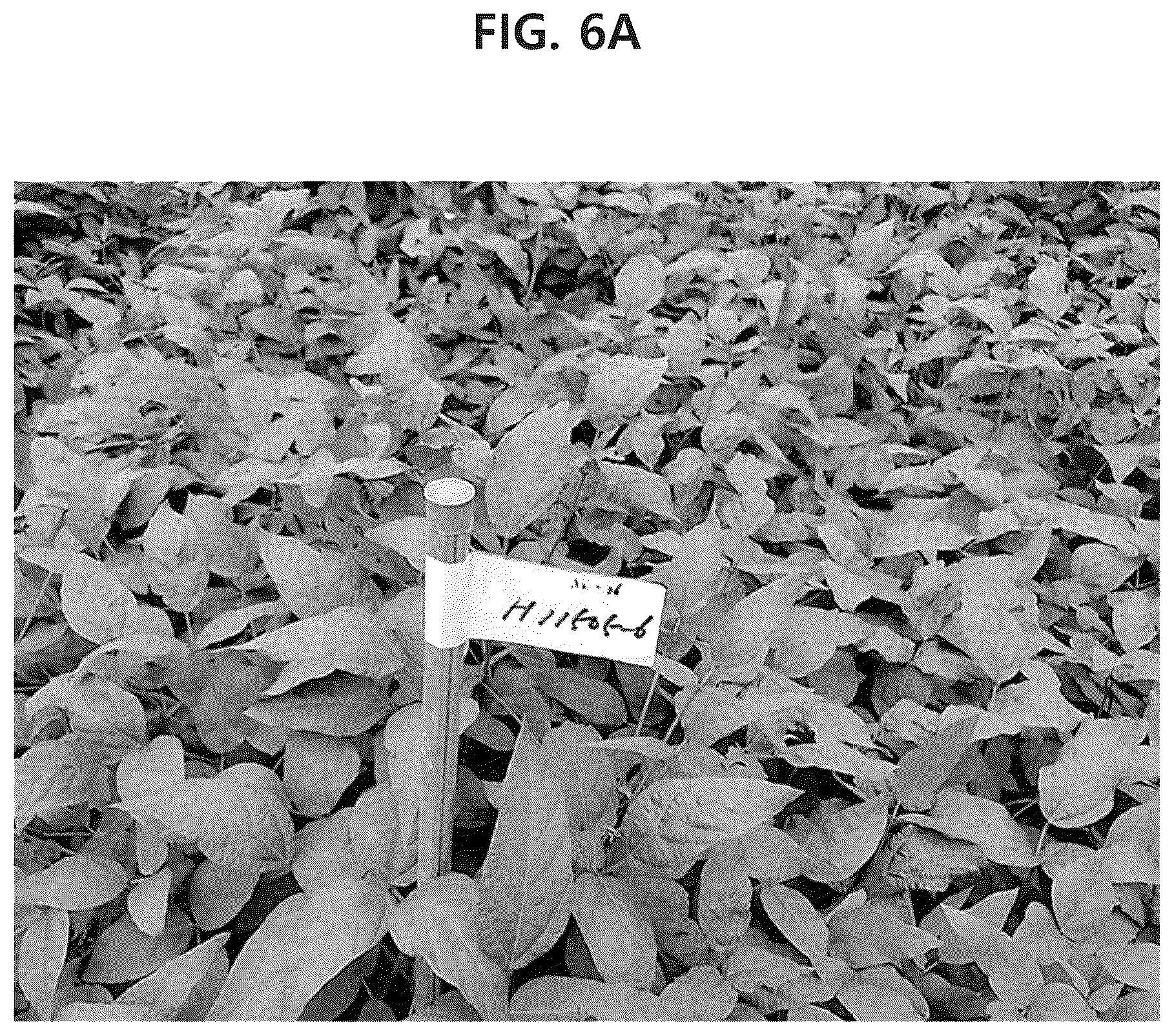 Patent US12302841 Figure 11 – Soybean variety comprising high content of epicatechin