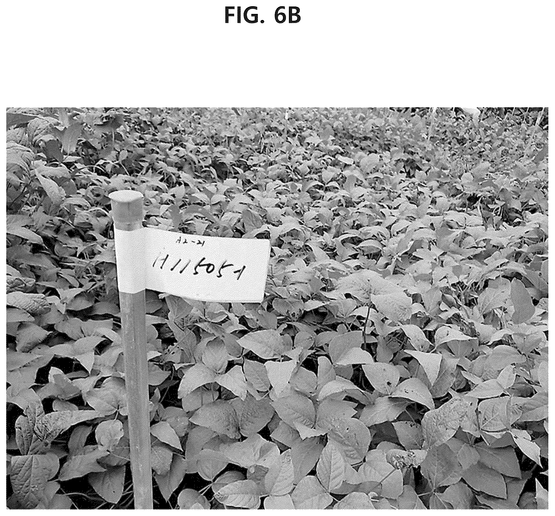 Patent US12302841 Figure 12 – Soybean variety comprising high content of epicatechin
