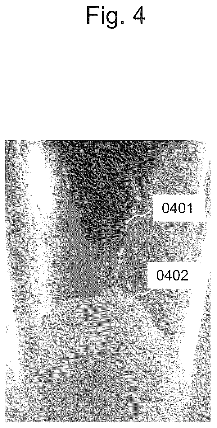 Patent US12302875 Figure 4 – Egg collection device for bagworm moth and breeding method and egg collection method of bagworm moth using the same