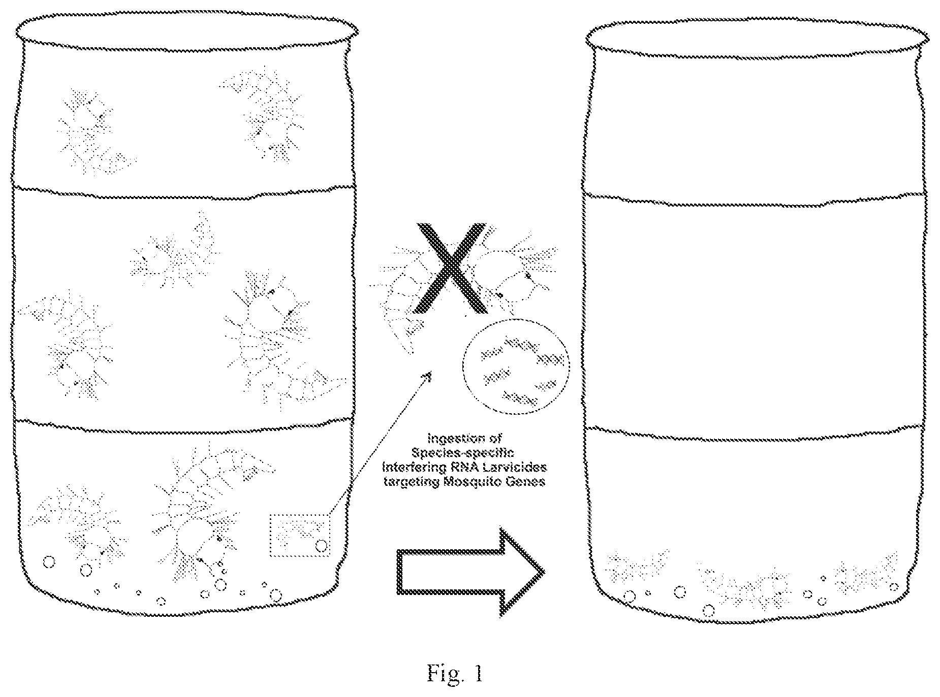 Patent US12302904 Figure 1 – RNAi insecticide materials and methods
