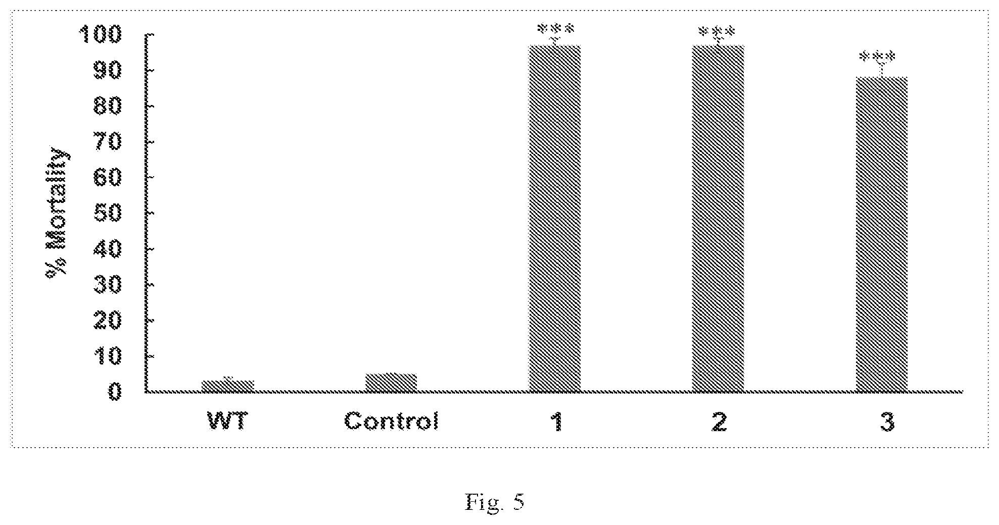 Patent US12302904 Figure 5 – RNAi insecticide materials and methods