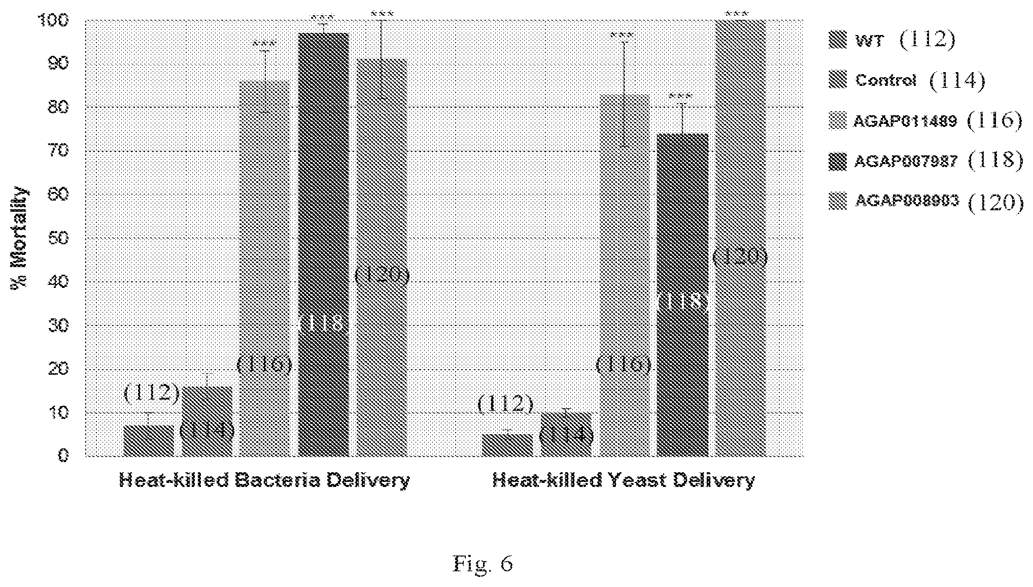 Patent US12302904 Figure 6 – RNAi insecticide materials and methods